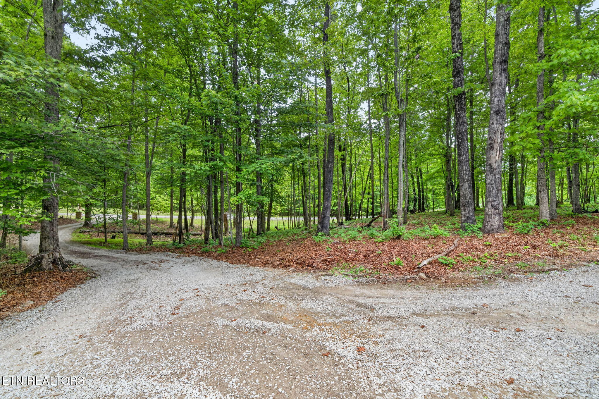 500 Cliff Park Road Monterey TN 38574