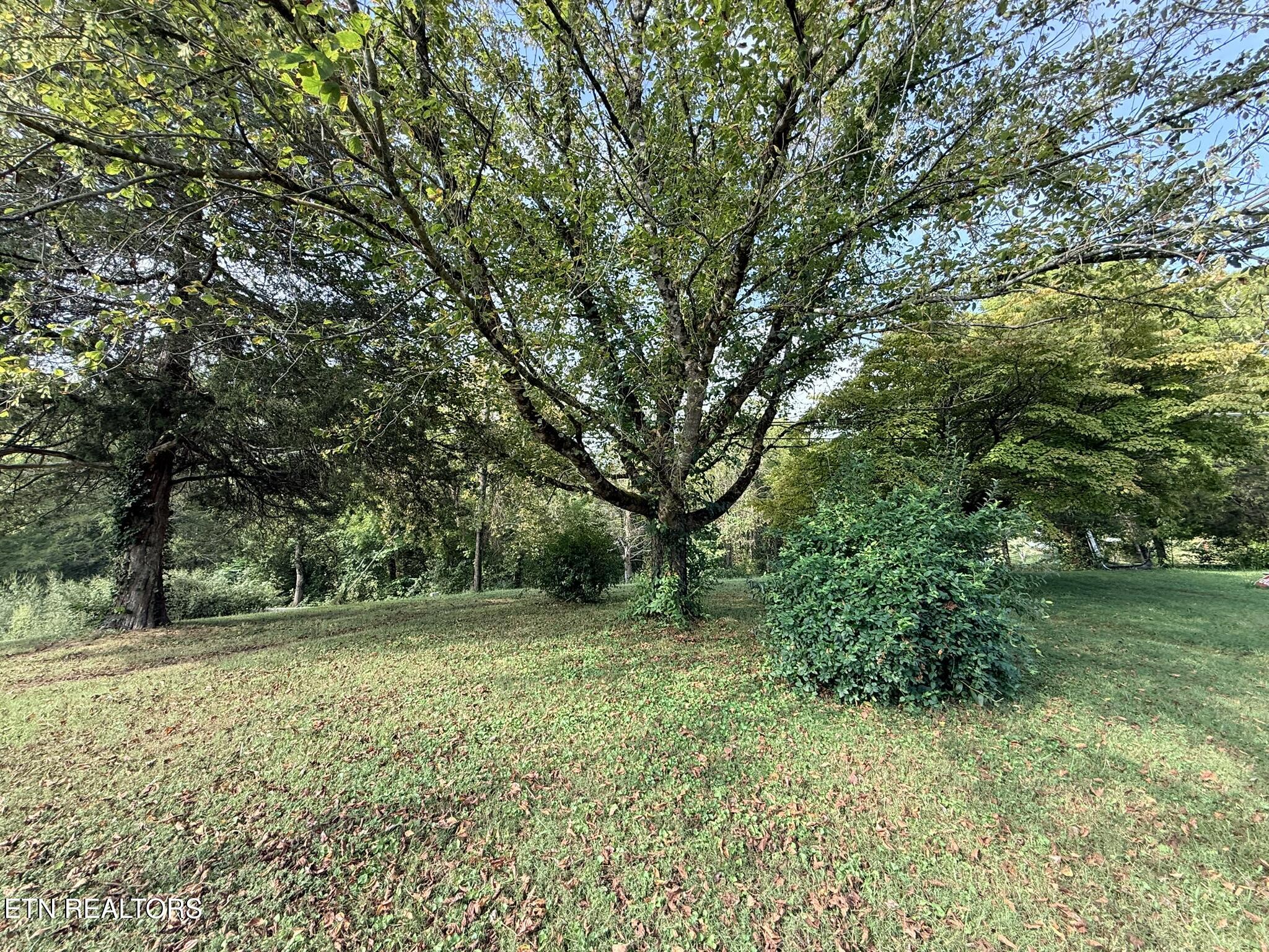 569 Carr Wynn Road Lafollette TN 37766