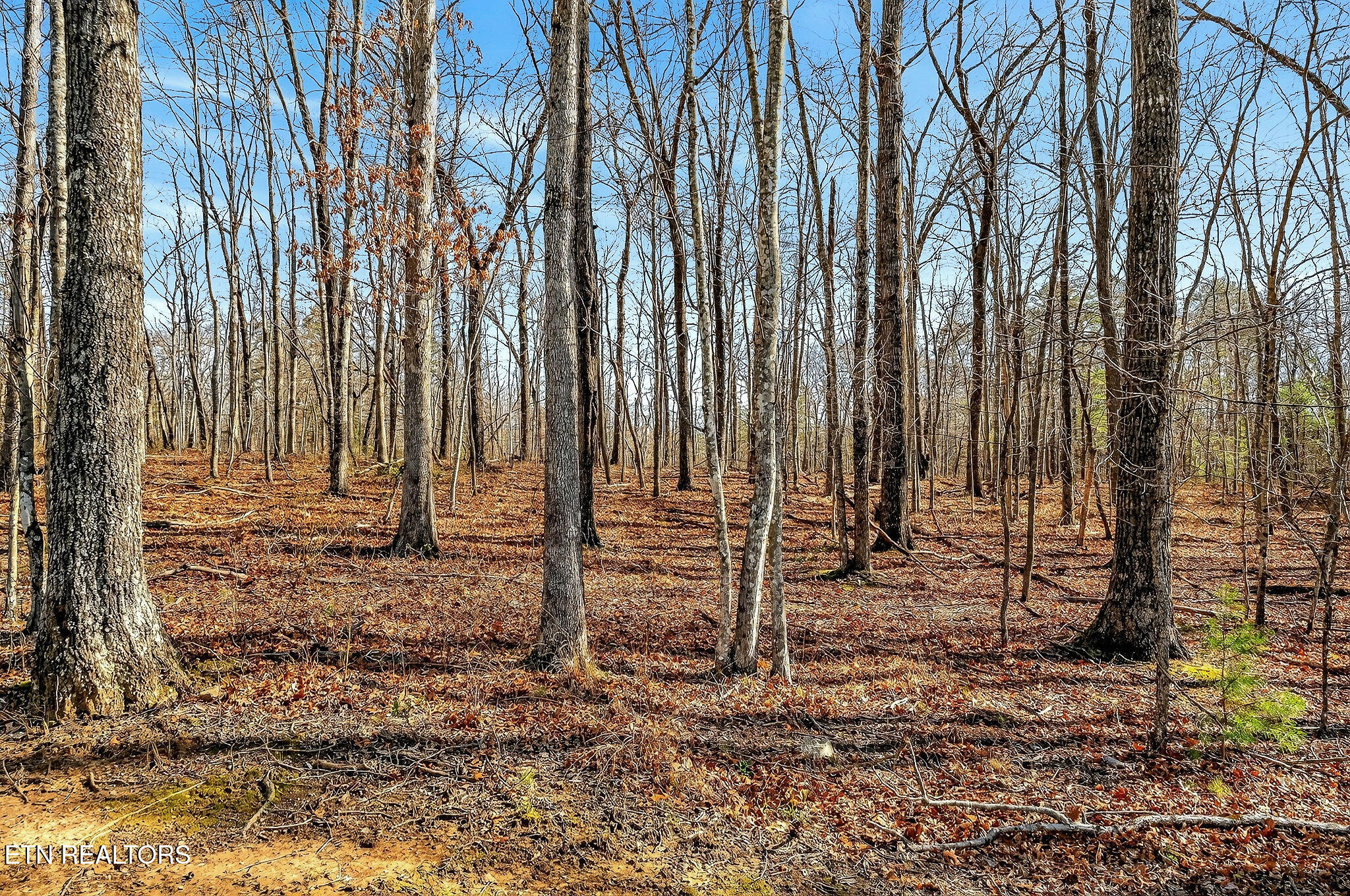 411 Cumberland Cove Road Monterey TN 38574