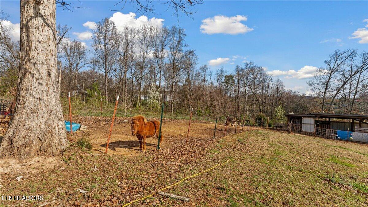 966 Chestnut Grove Road Dandridge TN 37725
