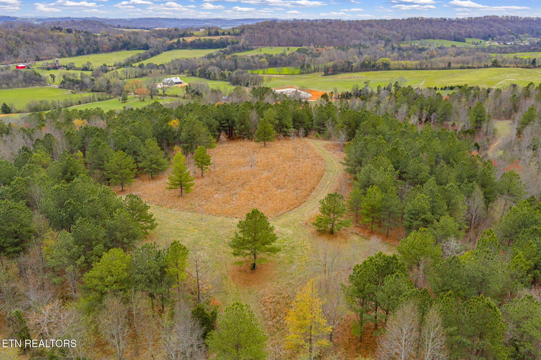 3493 Foshee Road Philadelphia TN 37846