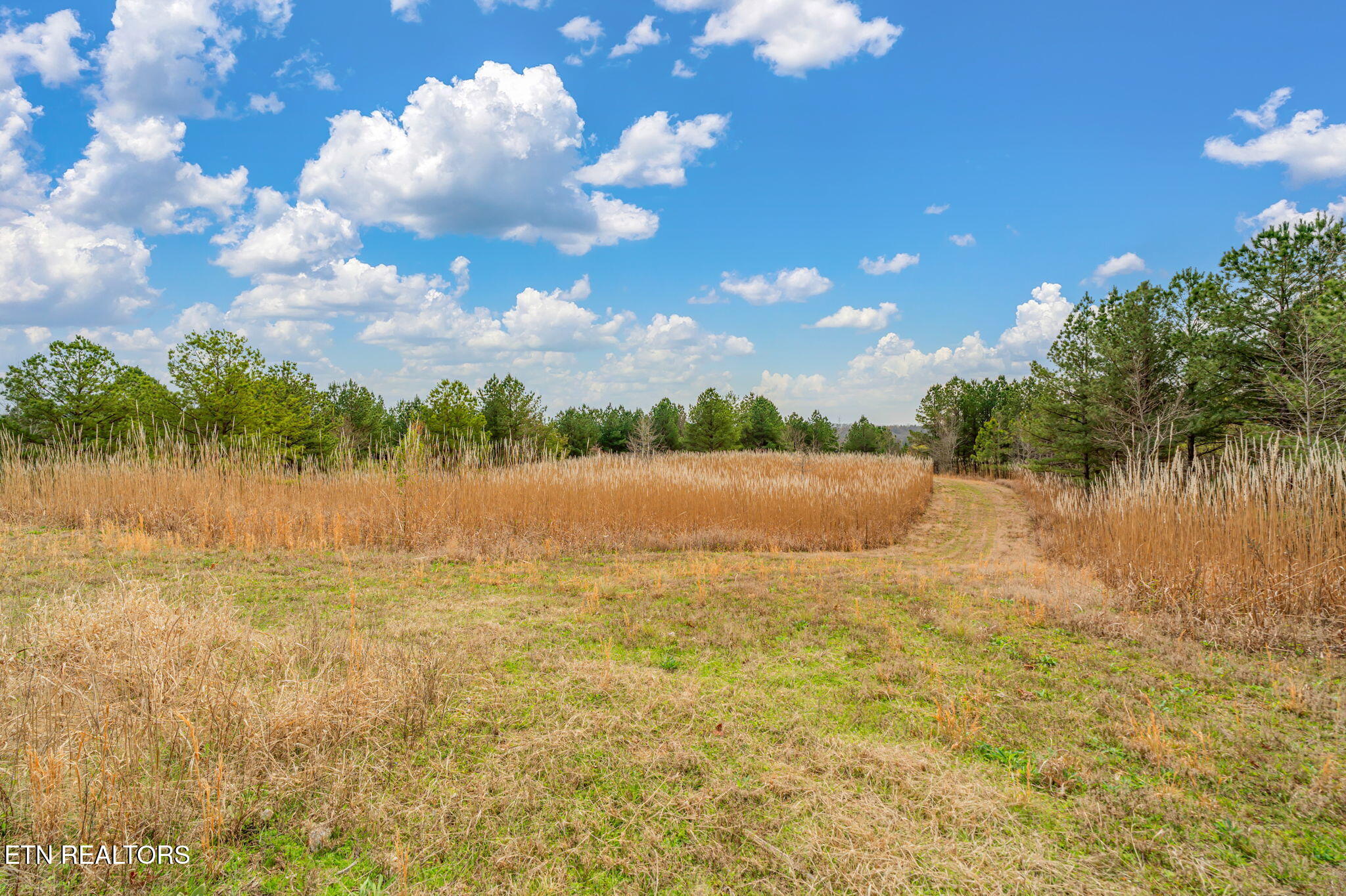 3493 Foshee Road Philadelphia TN 37846