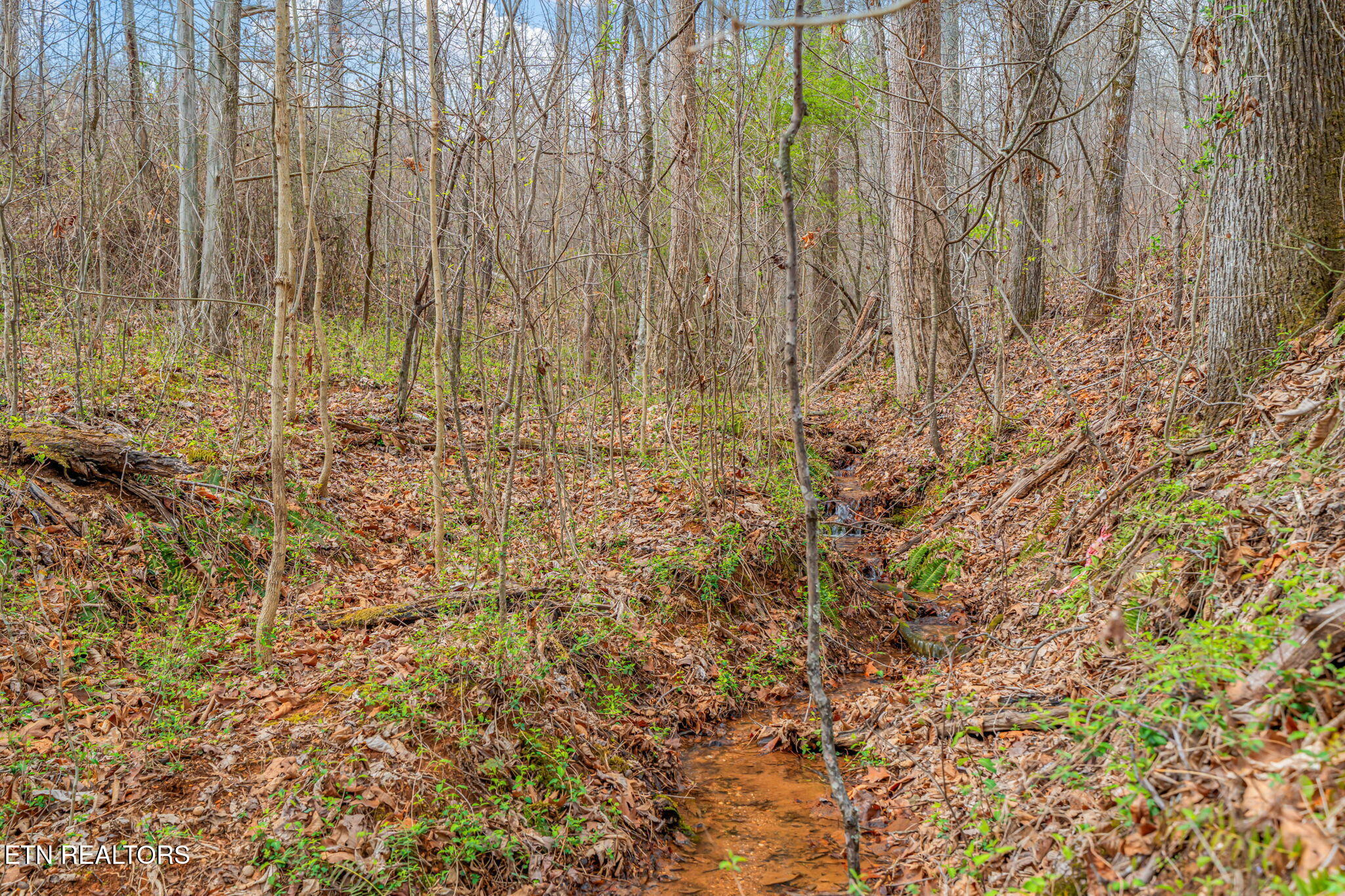 3493 Foshee Road Philadelphia TN 37846