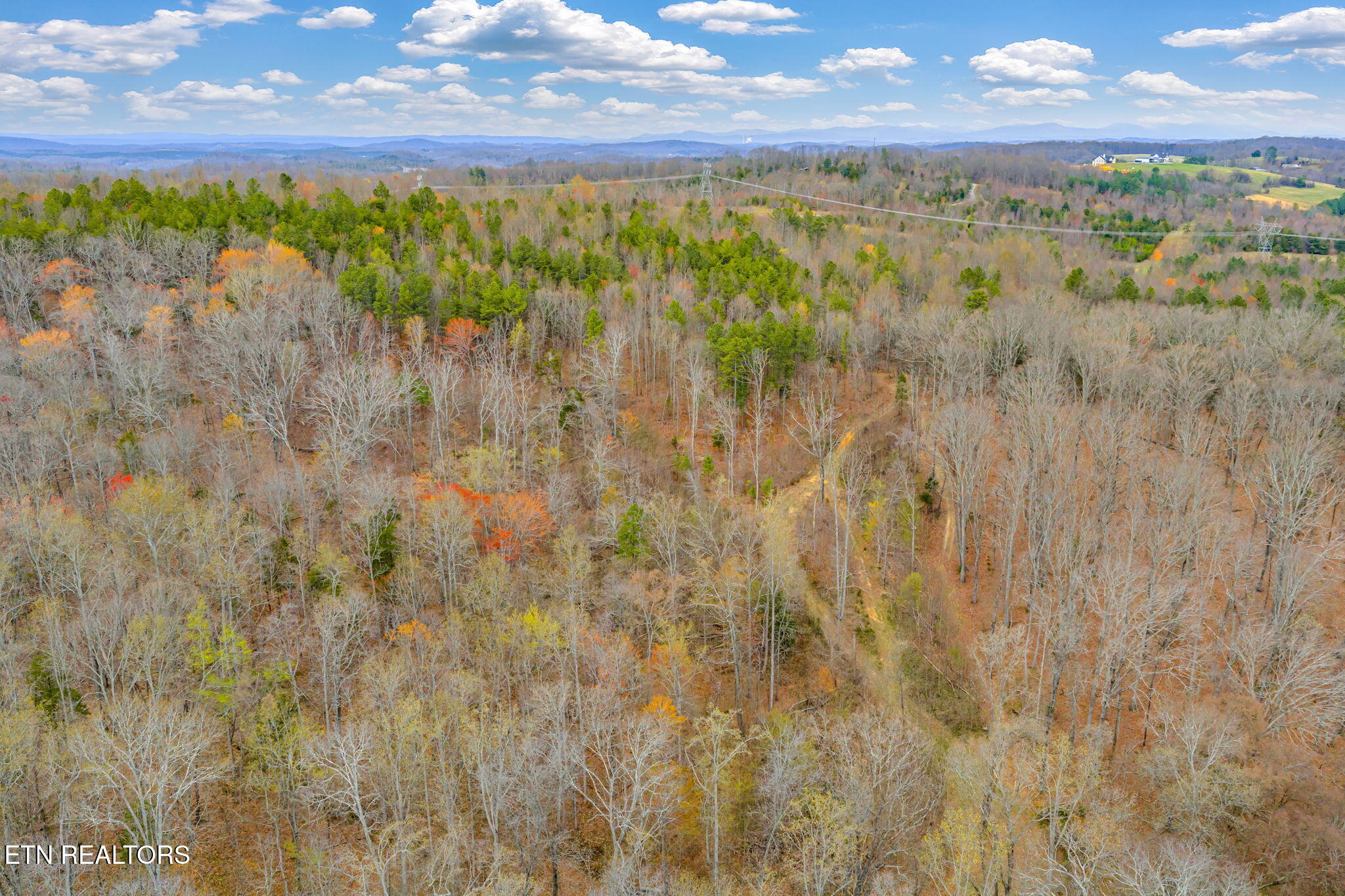 3493 Foshee Road Philadelphia TN 37846