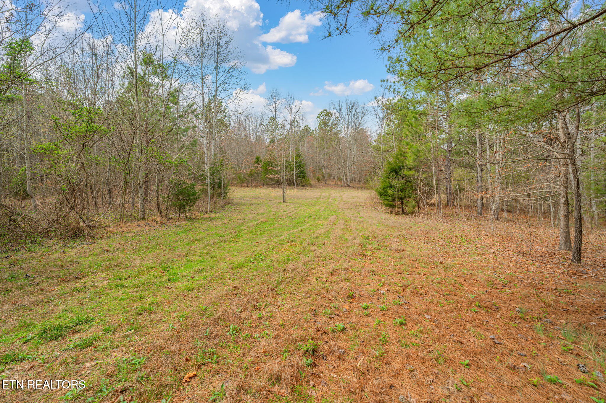 3493 Foshee Road Philadelphia TN 37846