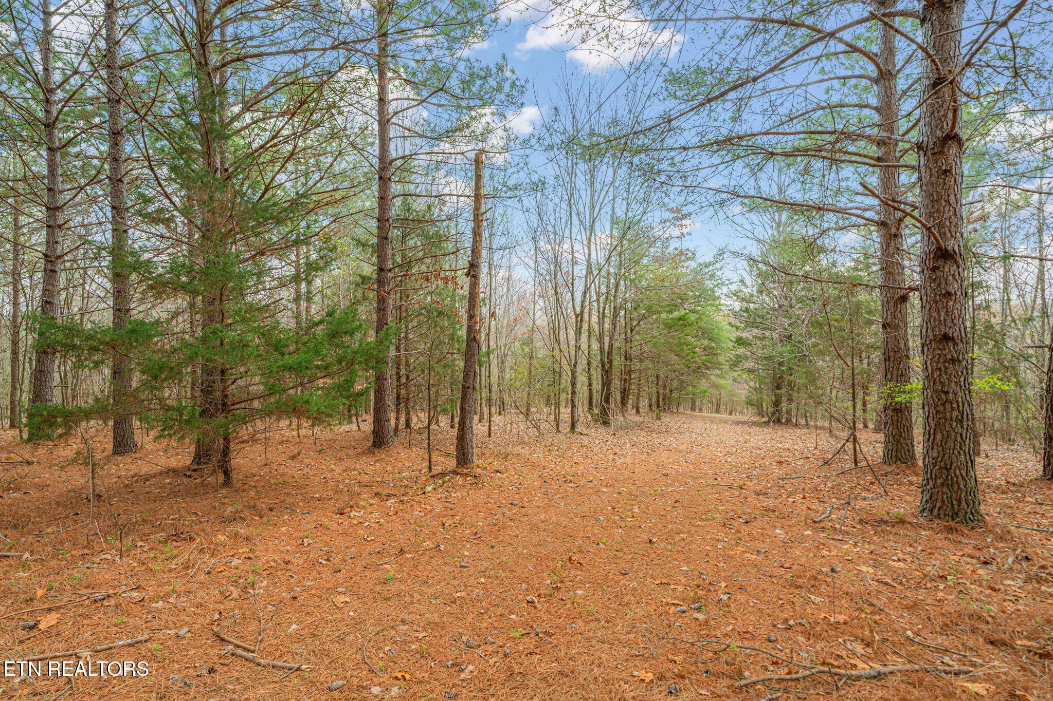 3493 Foshee Road Philadelphia TN 37846