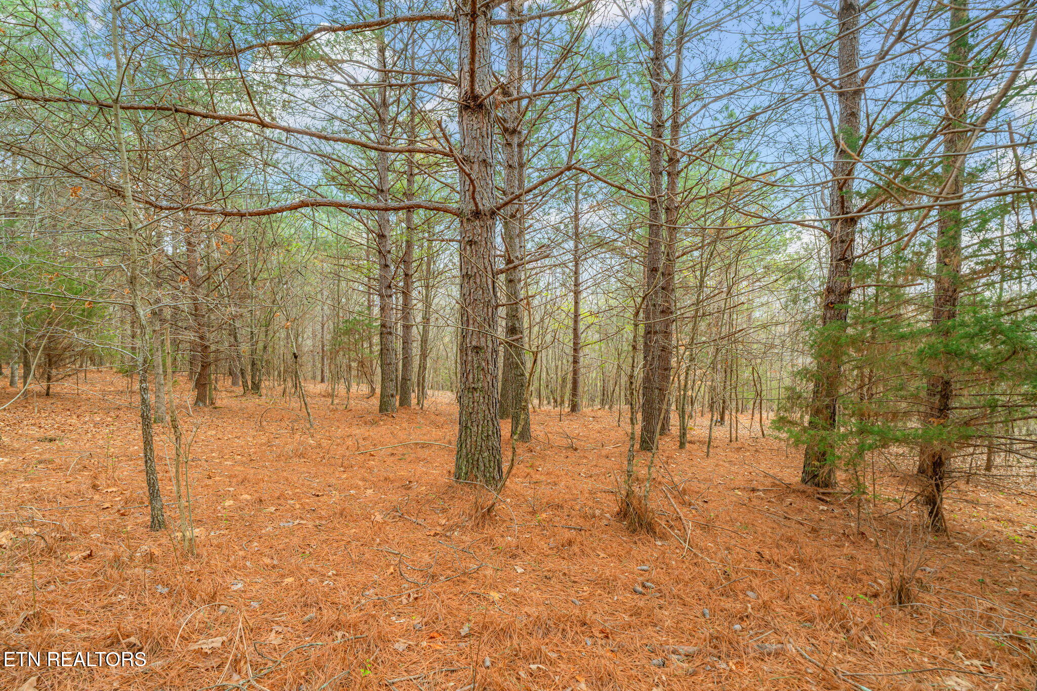 3493 Foshee Road Philadelphia TN 37846