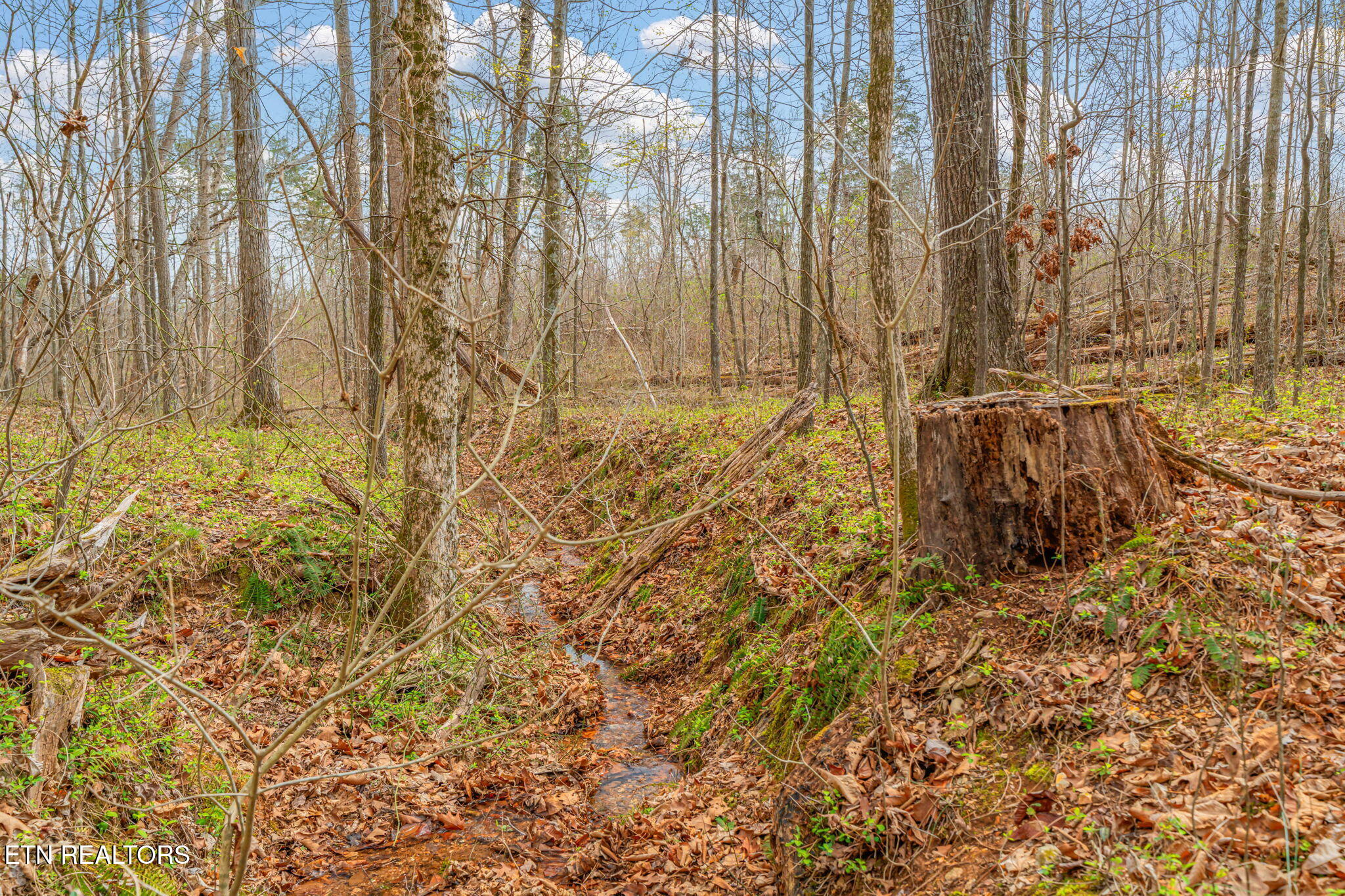 3493 Foshee Road Philadelphia TN 37846