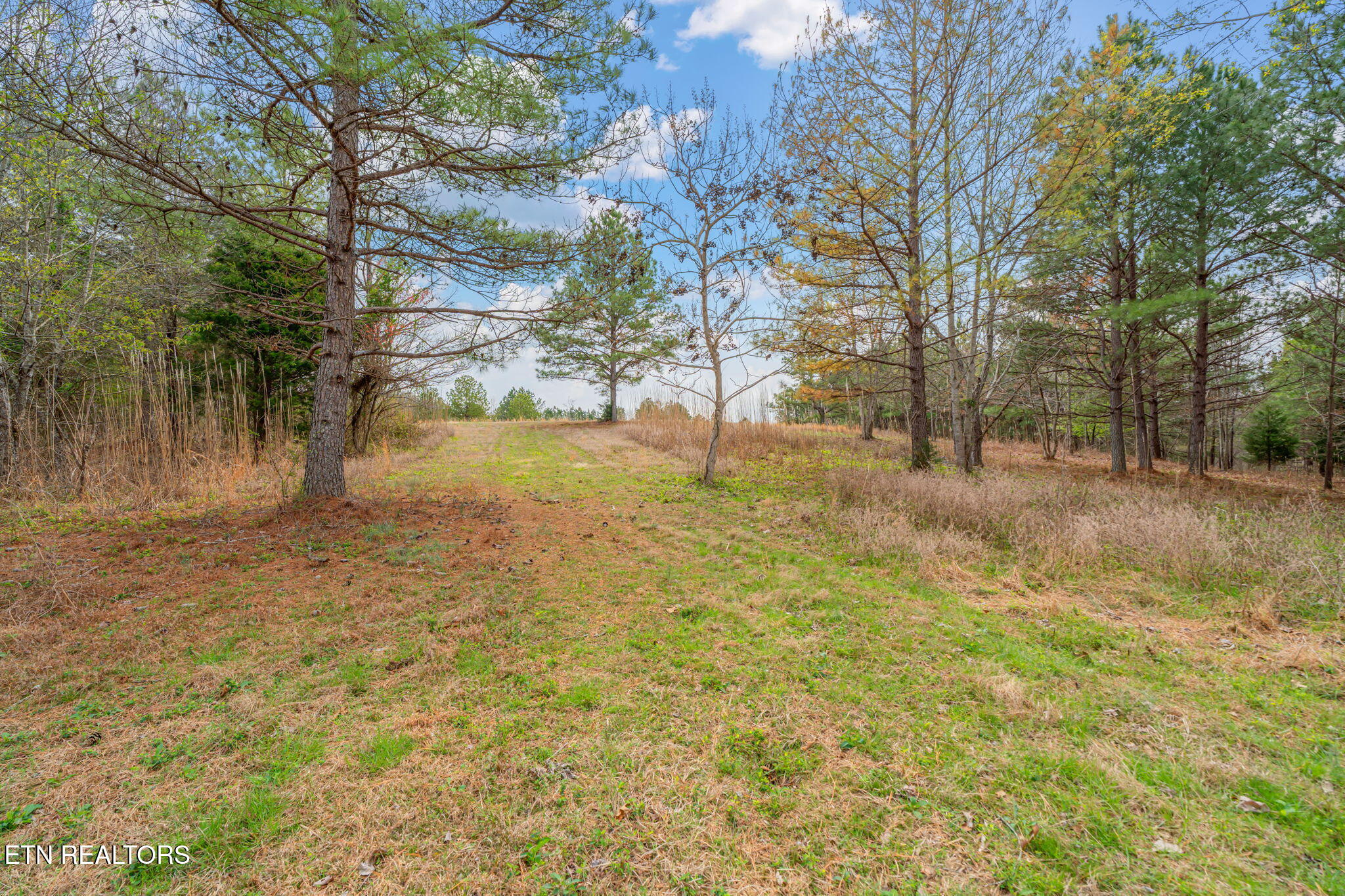 3493 Foshee Road Philadelphia TN 37846