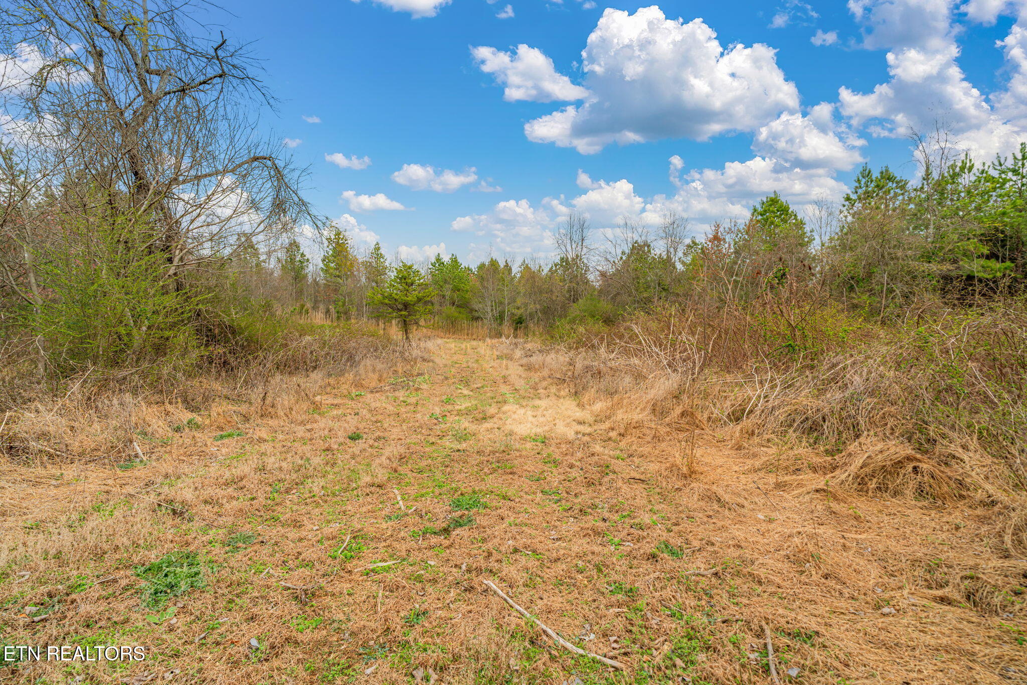 3493 Foshee Road Philadelphia TN 37846
