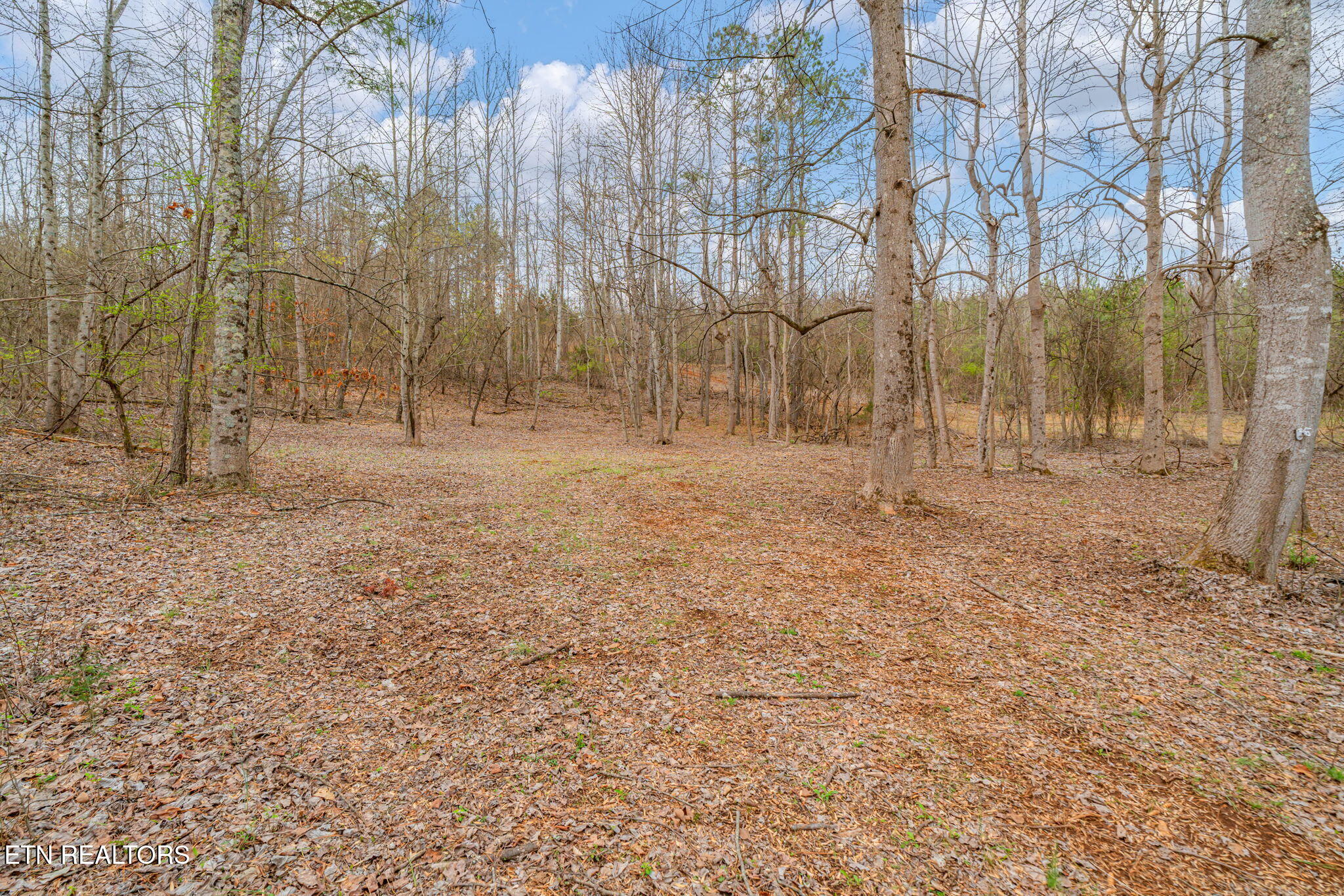 3493 Foshee Road Philadelphia TN 37846