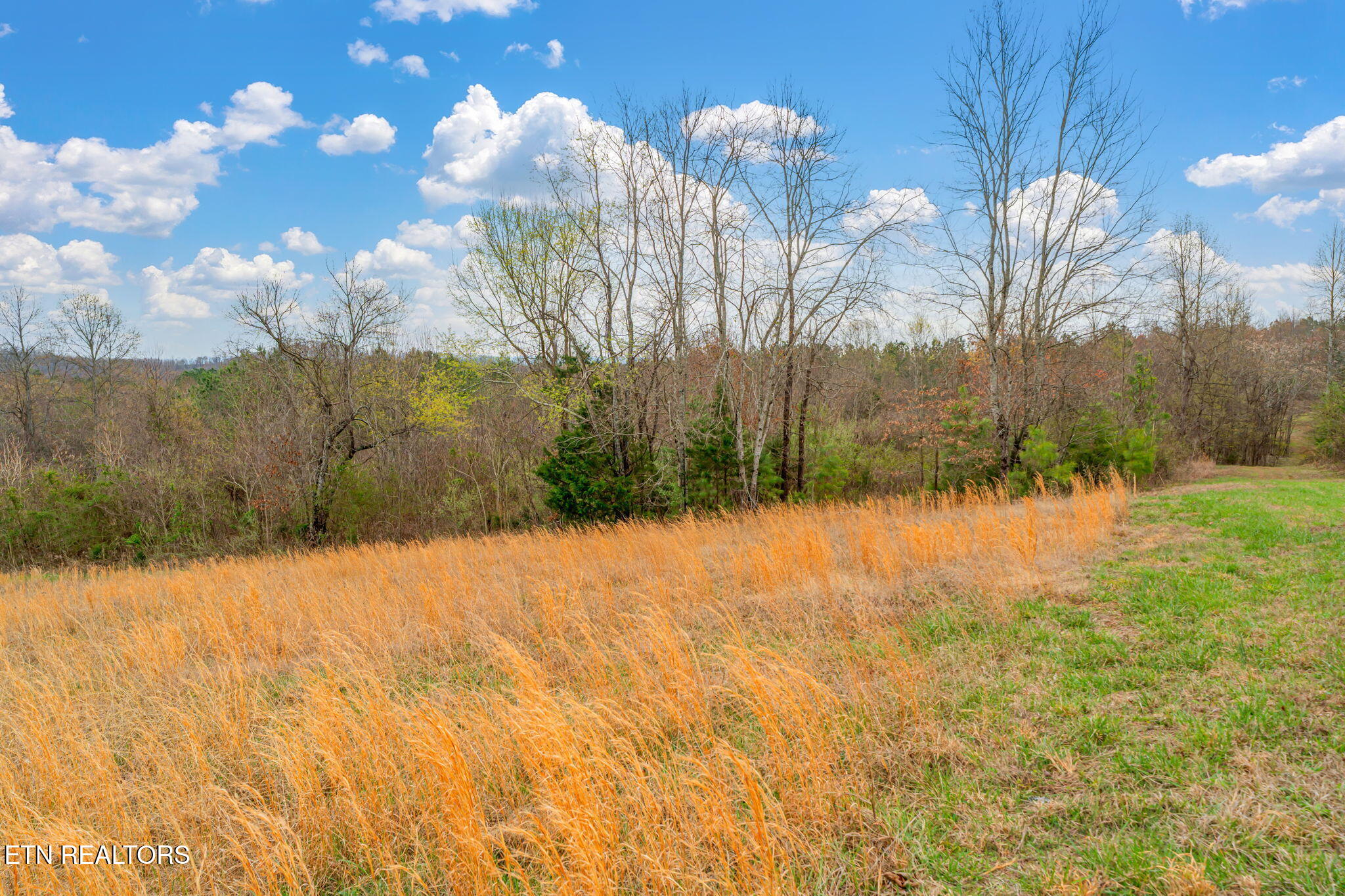 3493 Foshee Road Philadelphia TN 37846