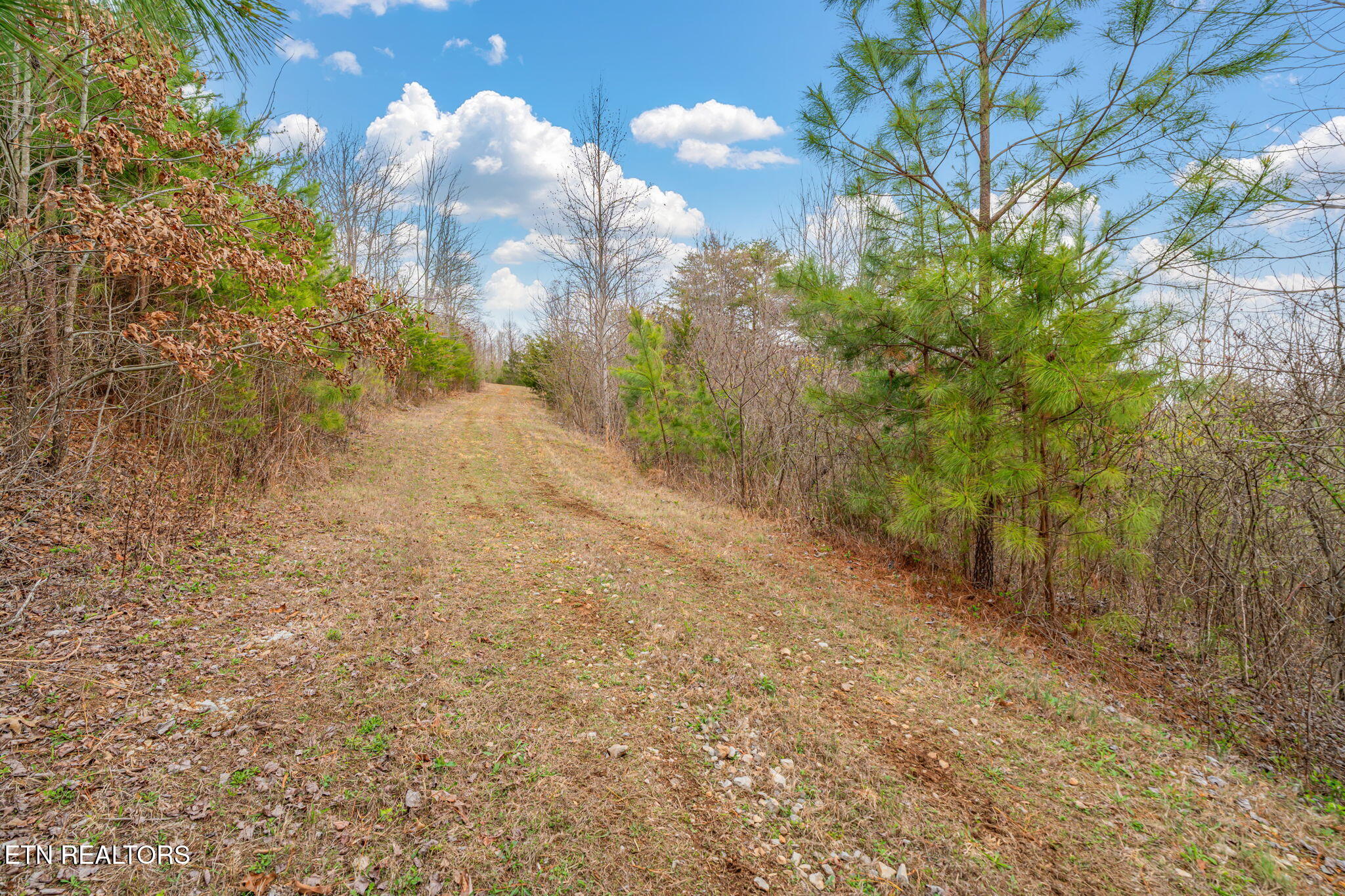 3493 Foshee Road Philadelphia TN 37846