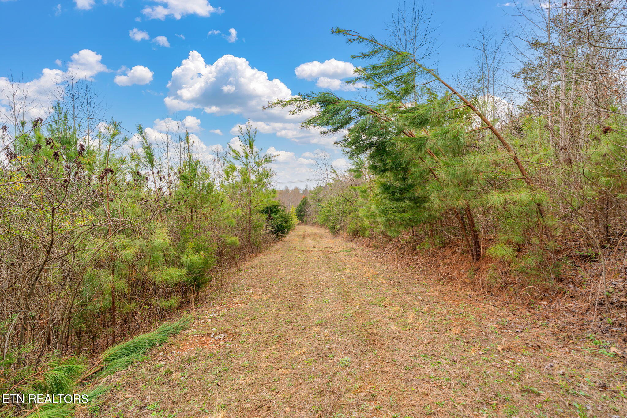 3493 Foshee Road Philadelphia TN 37846