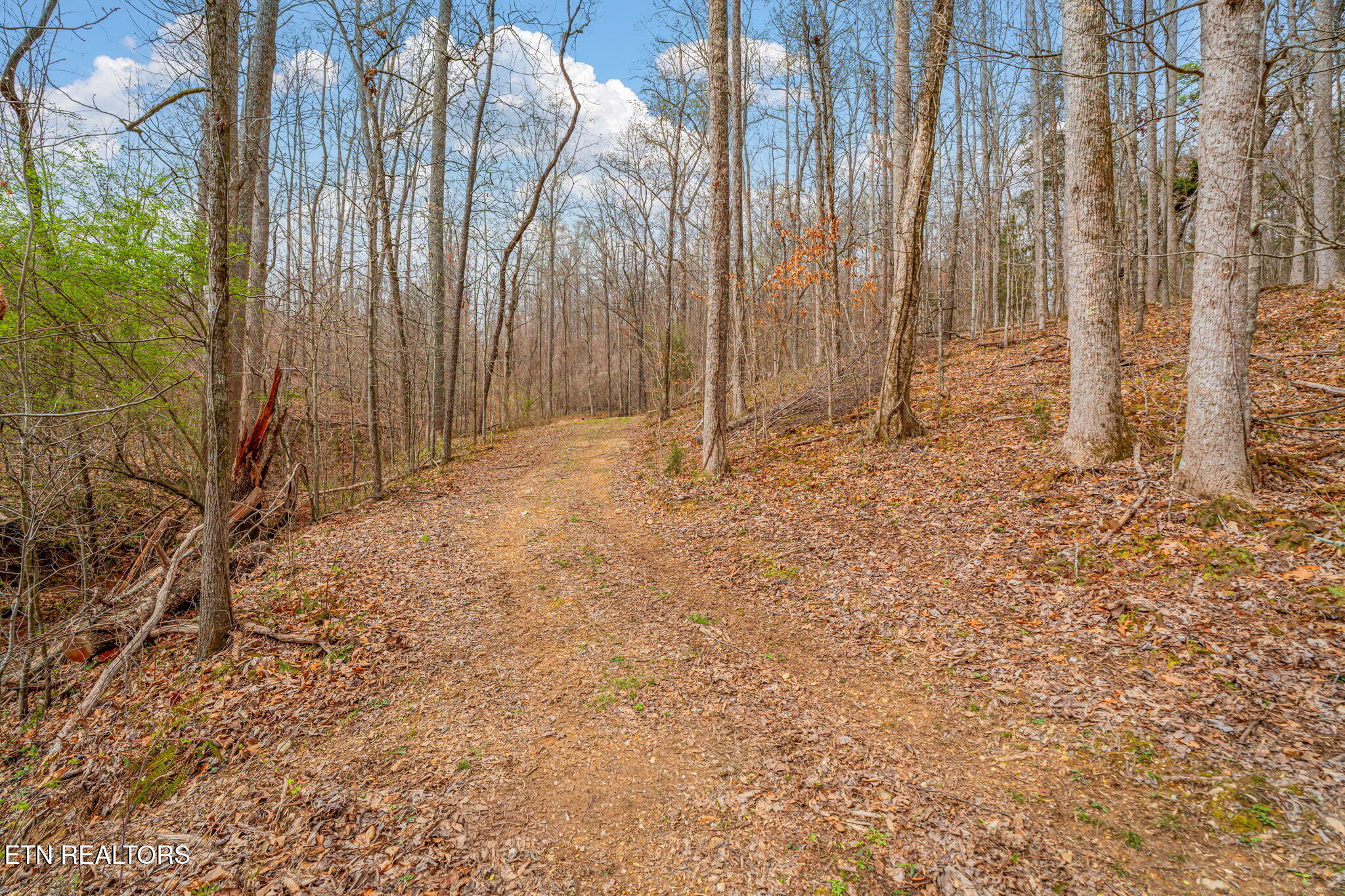 3493 Foshee Road Philadelphia TN 37846