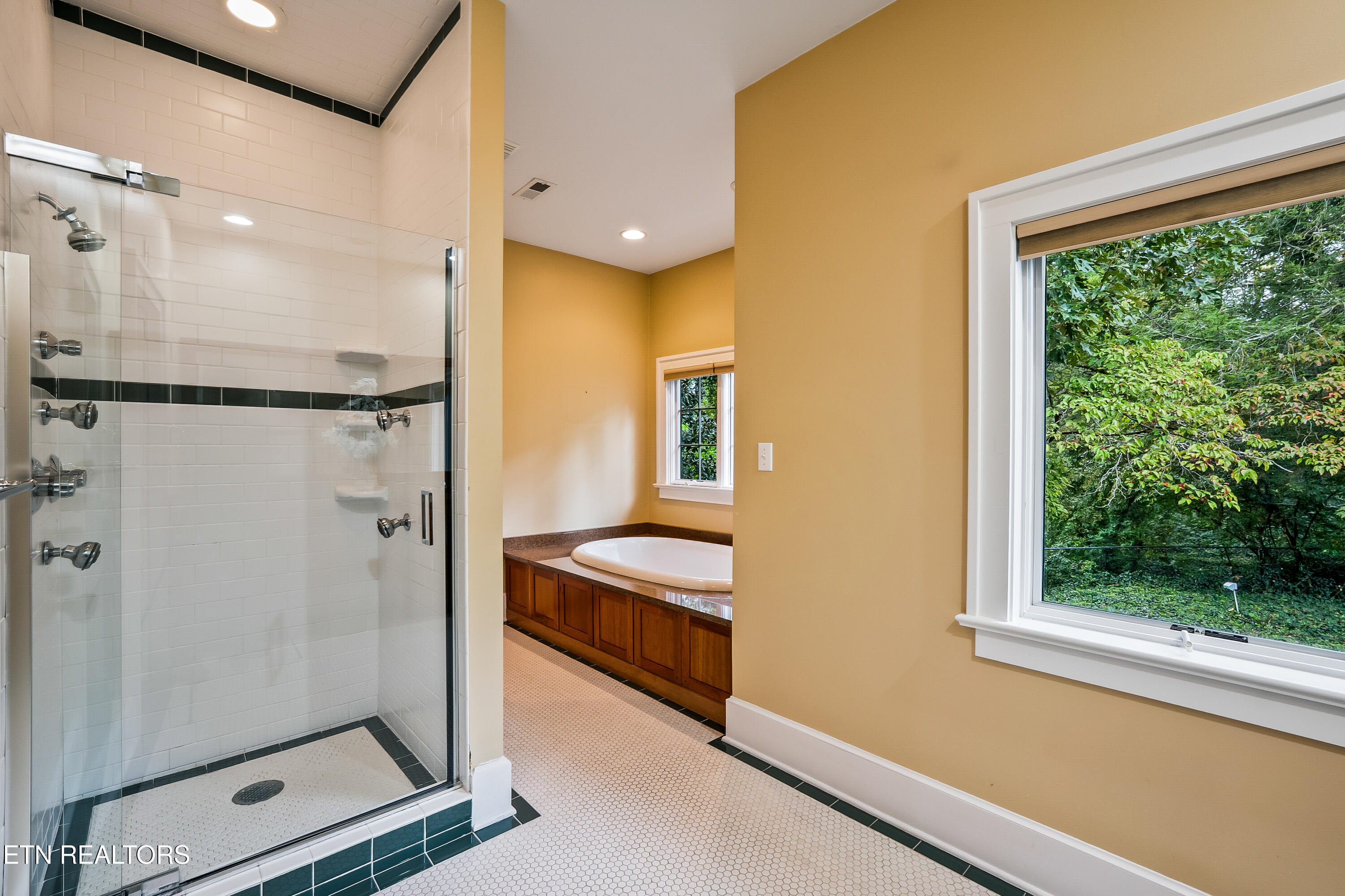 4207 Towanda Trail Knoxville TN 37919