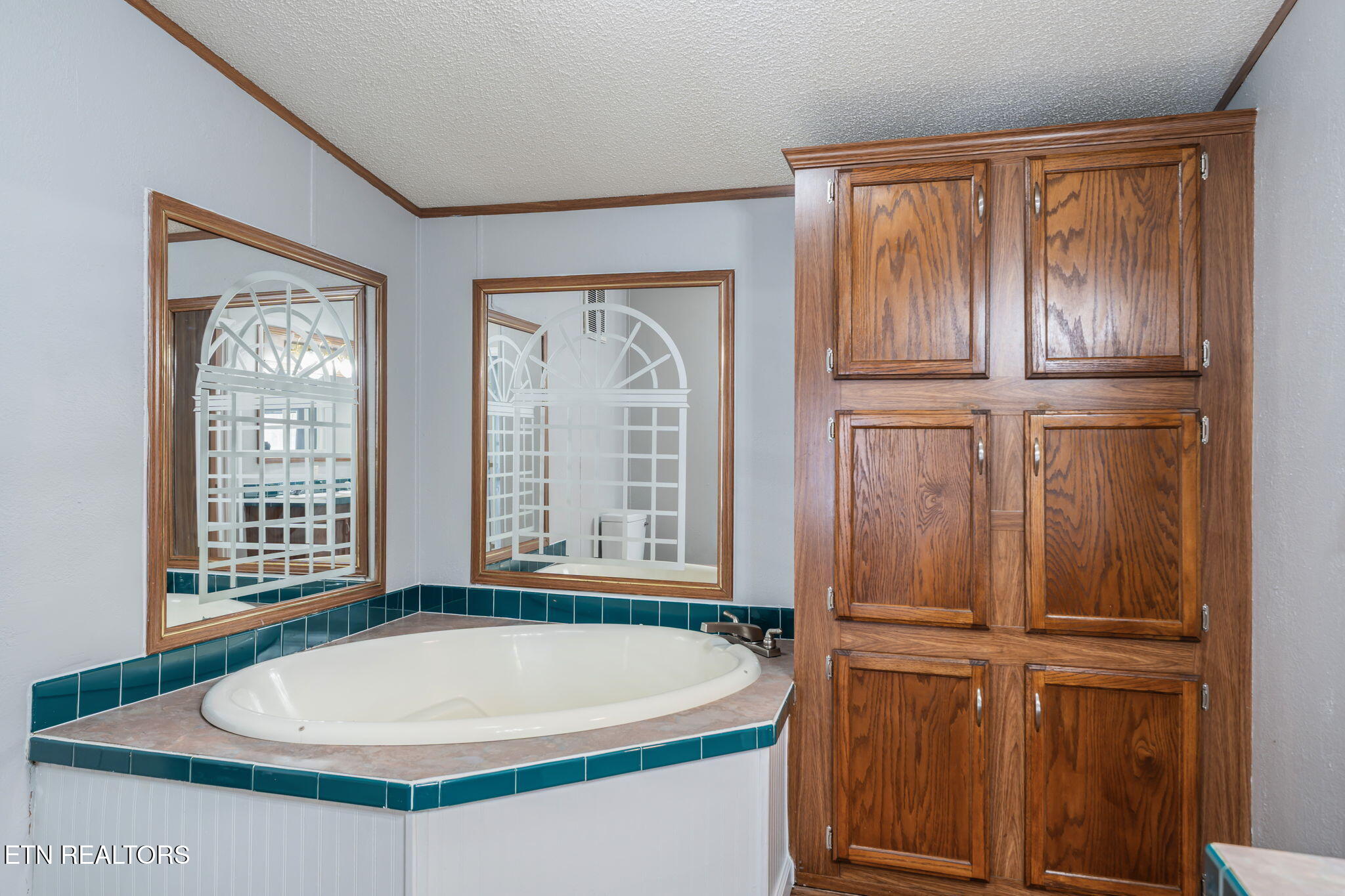 4504 Winslow Drive Strawberry Plains TN 37871