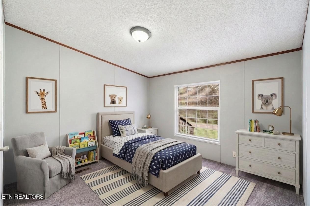 4504 Winslow Drive Strawberry Plains TN 37871