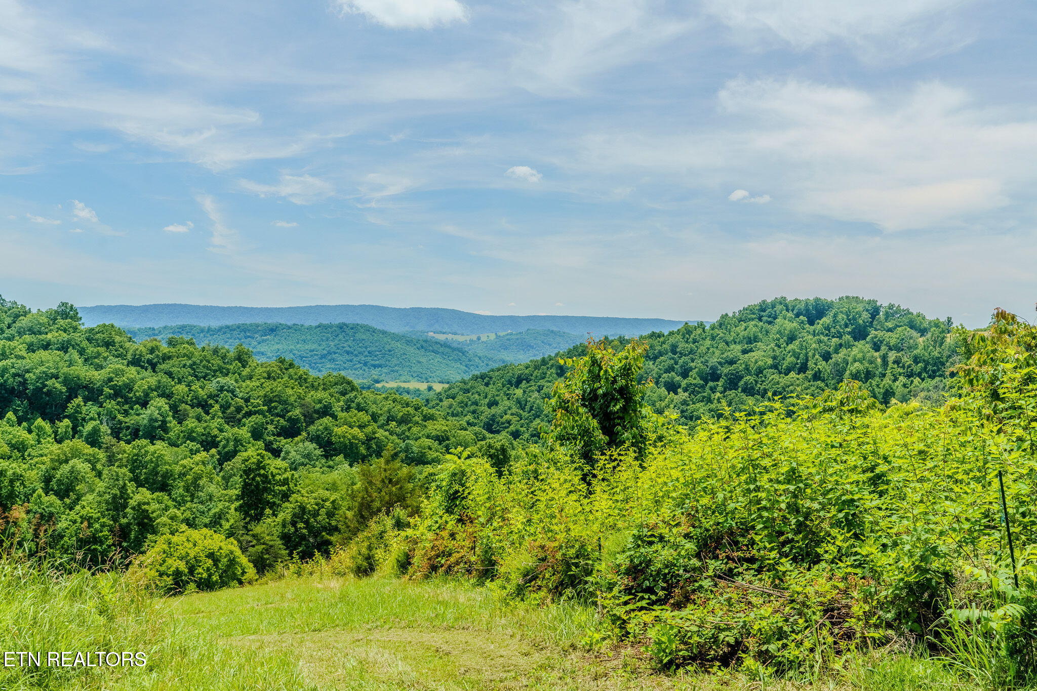 1563 Raven Hill Road Tazewell TN 37879