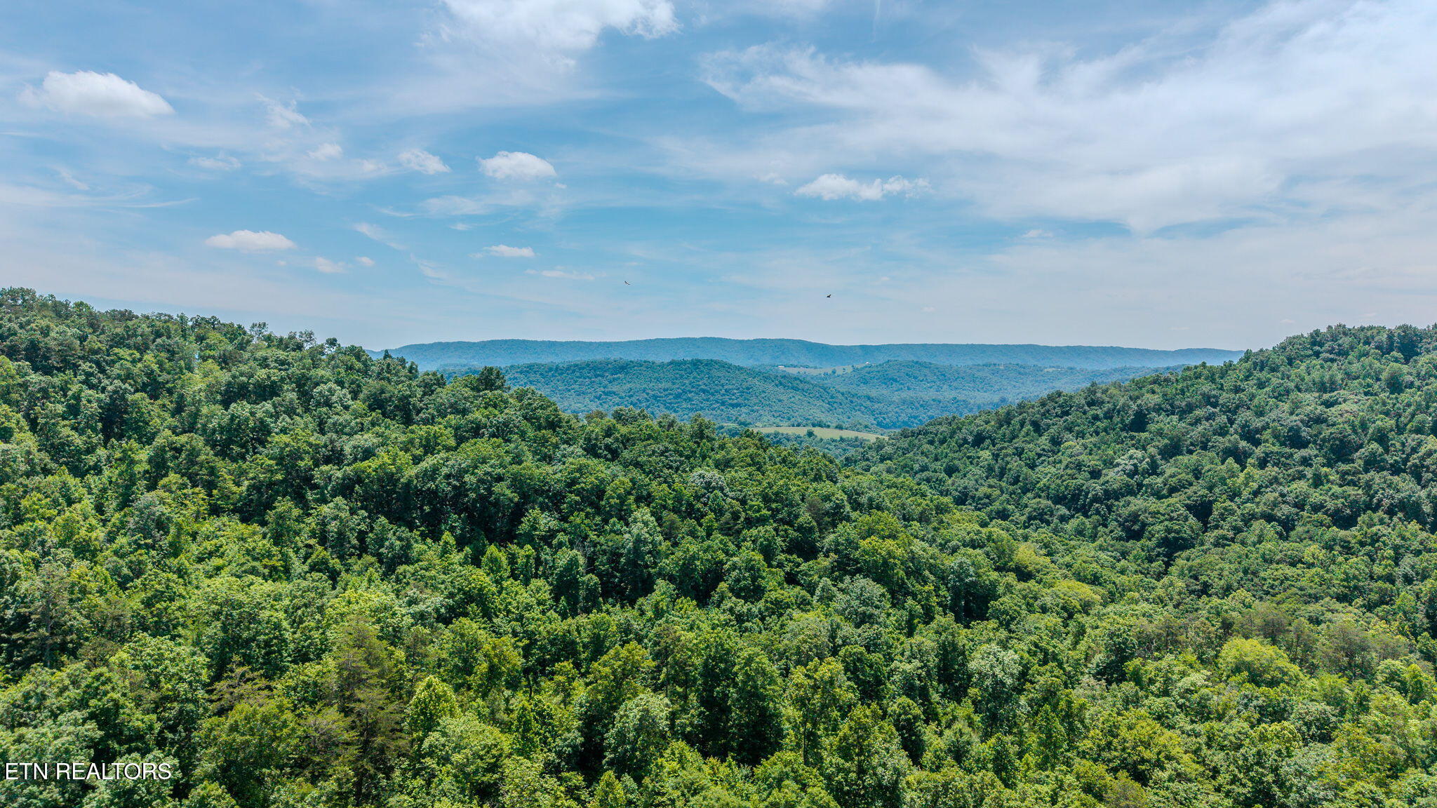 1563 Raven Hill Road Tazewell TN 37879