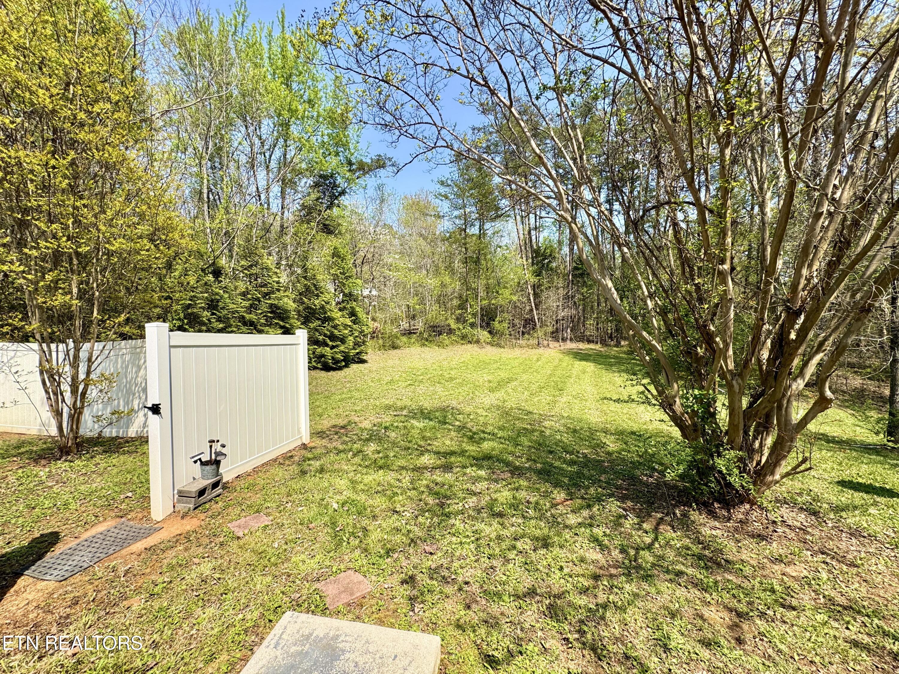 3926 Bud Mcmillan Road Knoxville TN 37924