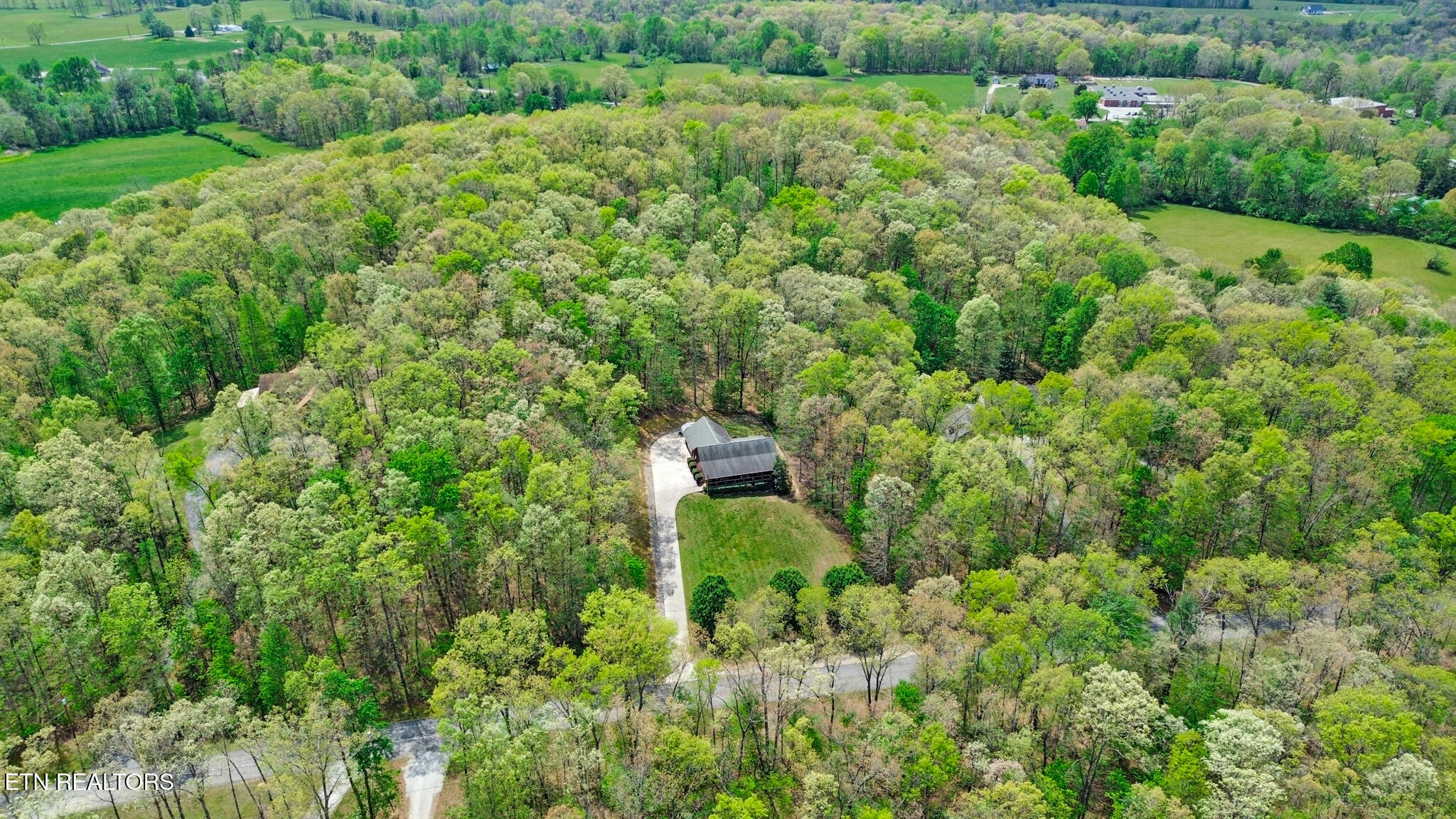 426 Allen Drive Rockwood TN 37854