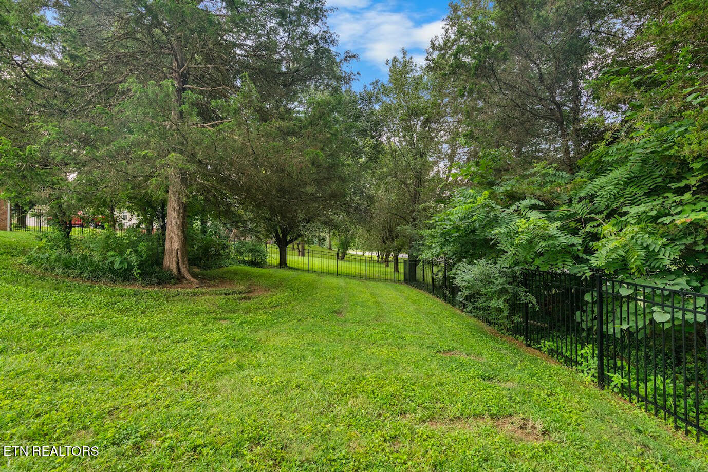 219 Twinleaf Lane Knoxville TN 37920