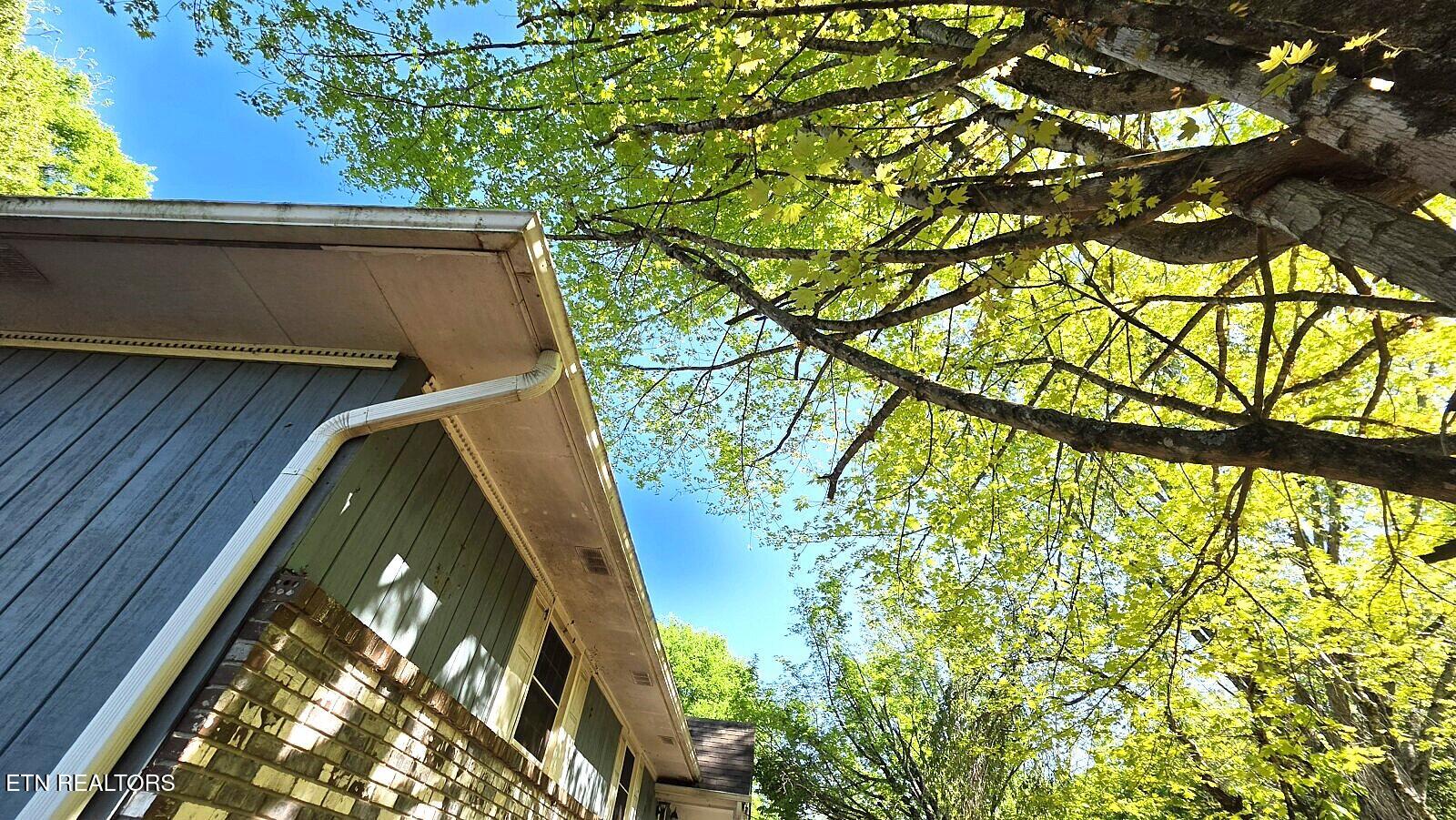 3444 Big Springs Ridge Road Friendsville TN 37737