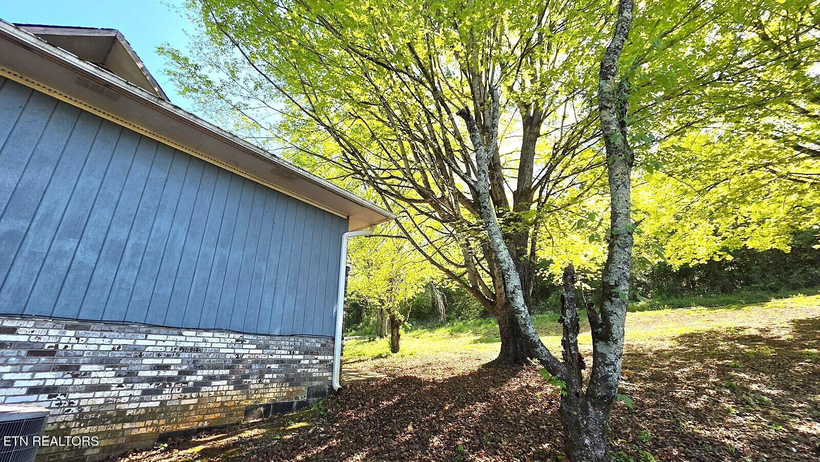 3444 Big Springs Ridge Road Friendsville TN 37737