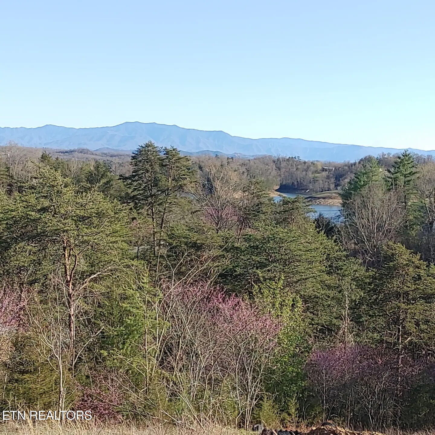 2055 Scott Street Sevierville TN 37876