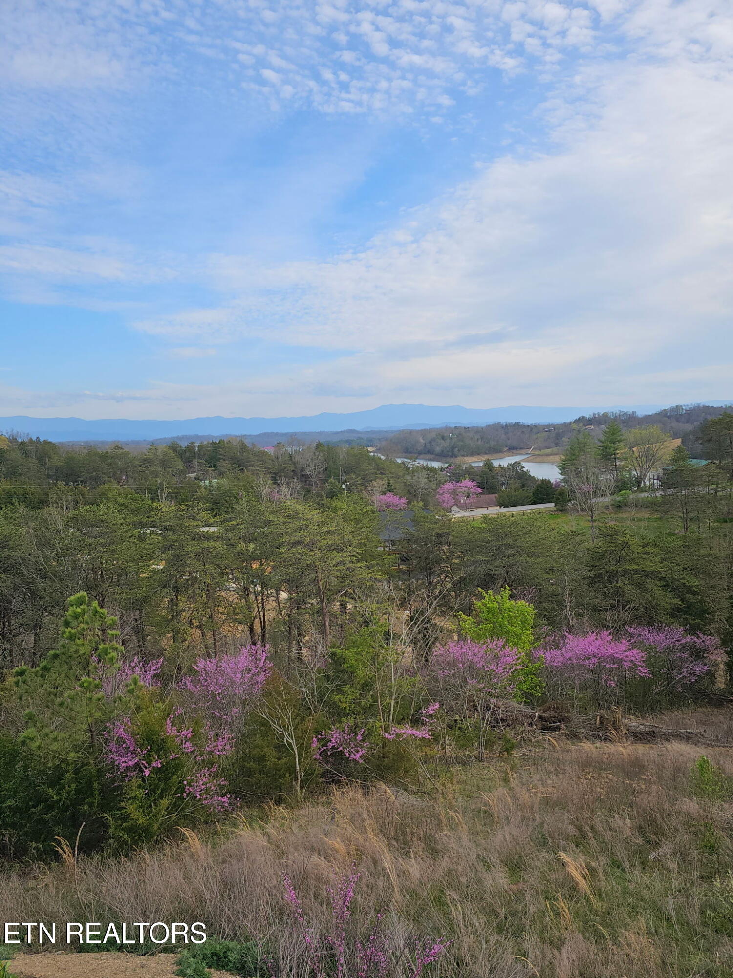 2055 Scott Street Sevierville TN 37876
