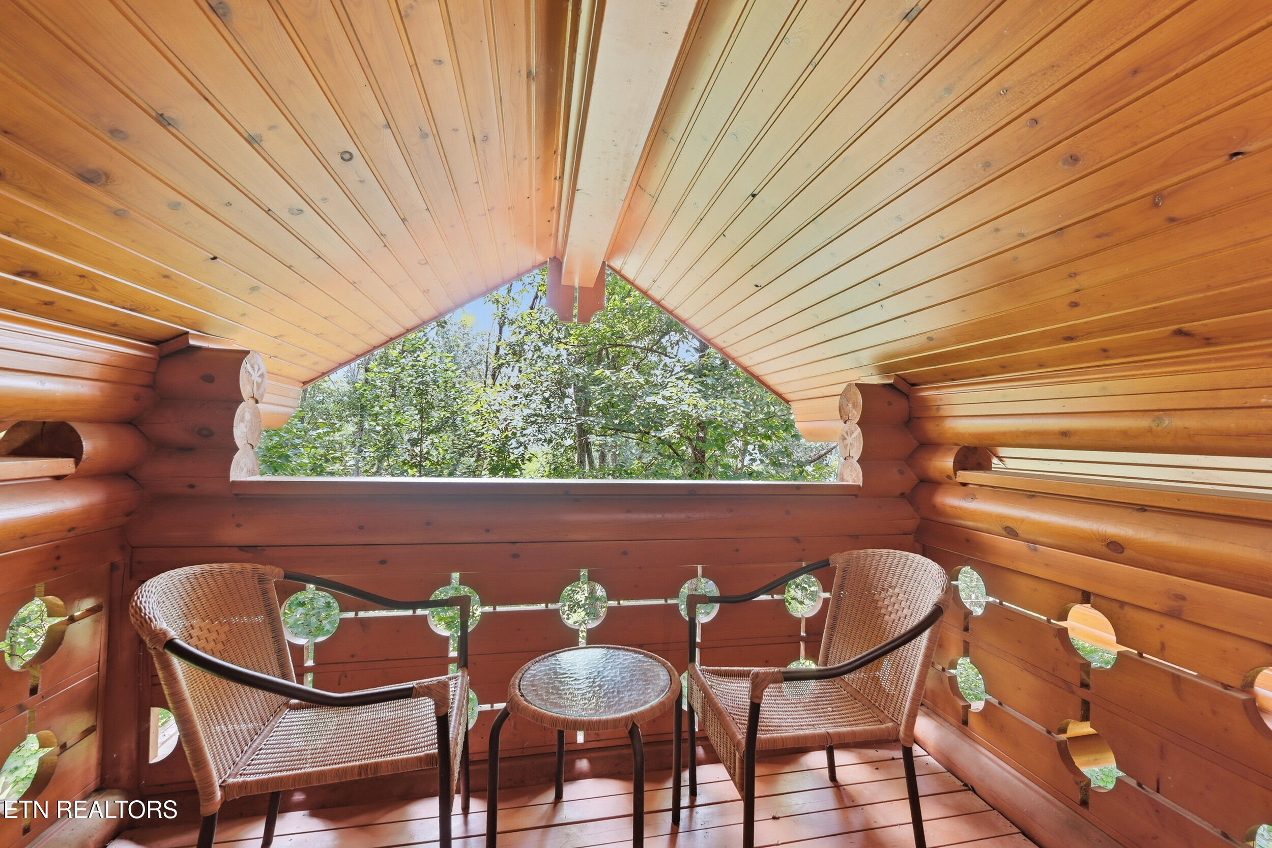 917 Pine Cone Way Gatlinburg TN 37738