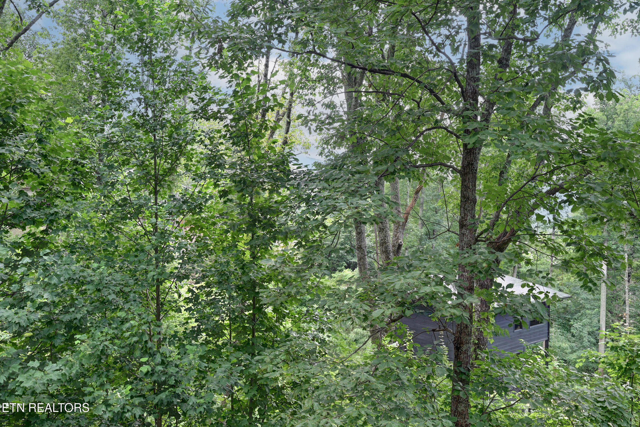 917 Pine Cone Way Gatlinburg TN 37738