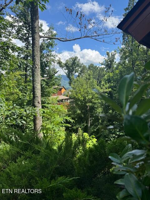 917 Pine Cone Way Gatlinburg TN 37738