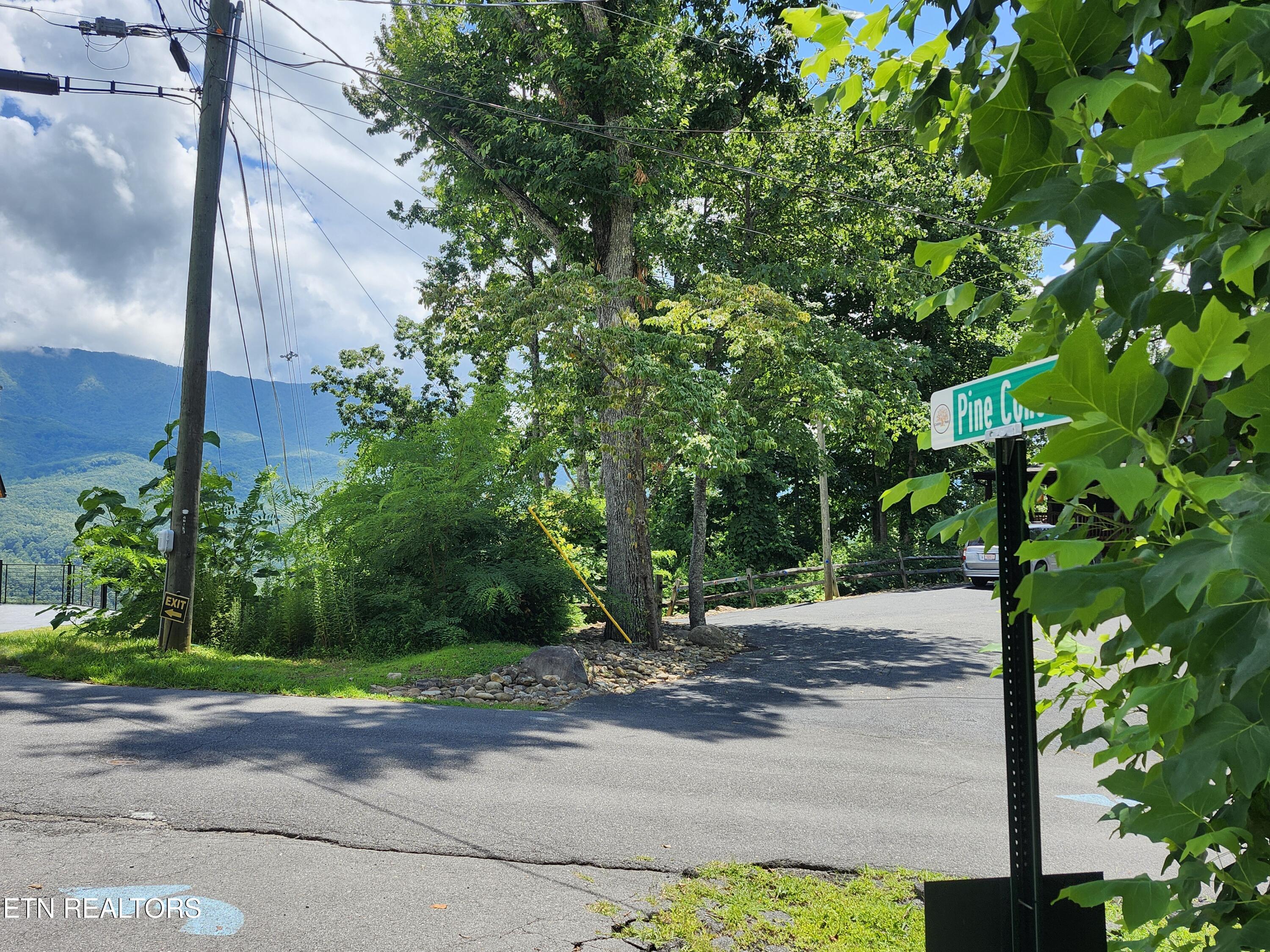 917 Pine Cone Way Gatlinburg TN 37738