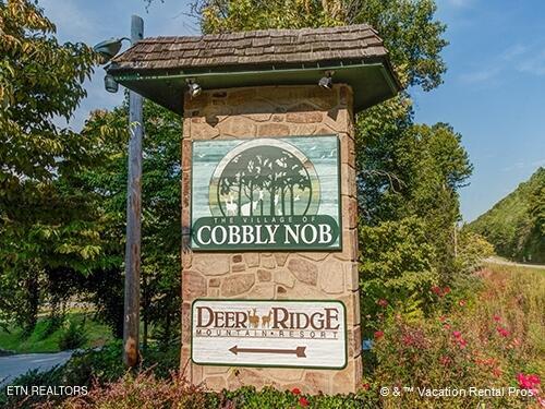 917 Pine Cone Way Gatlinburg TN 37738