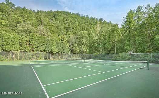 917 Pine Cone Way Gatlinburg TN 37738
