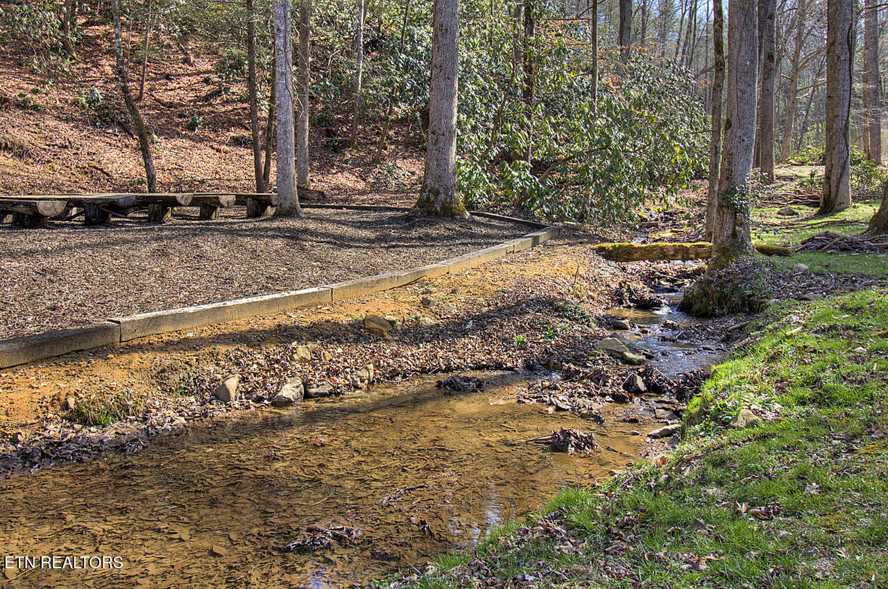 2000 E Millers Cove Road Walland TN 37886