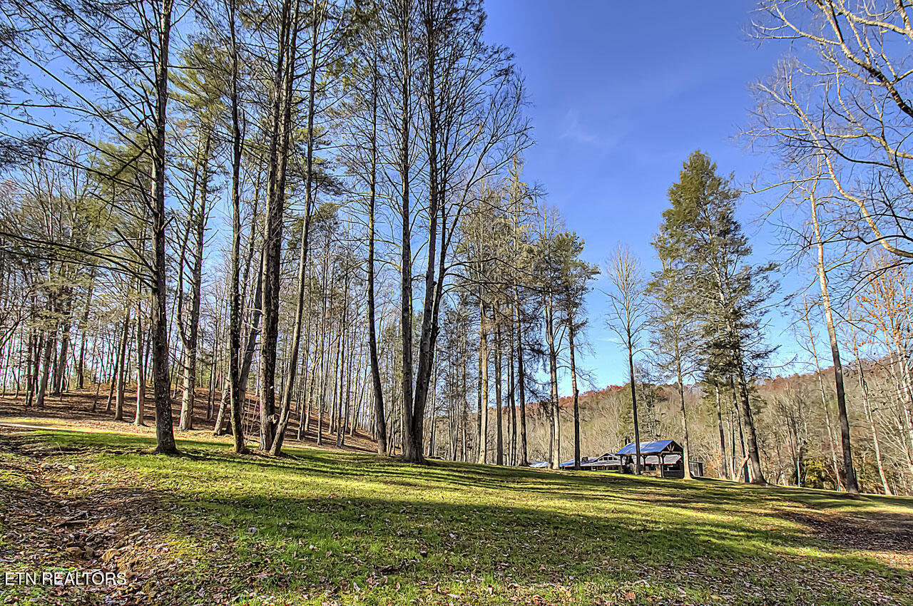 2000 E Millers Cove Road Walland TN 37886