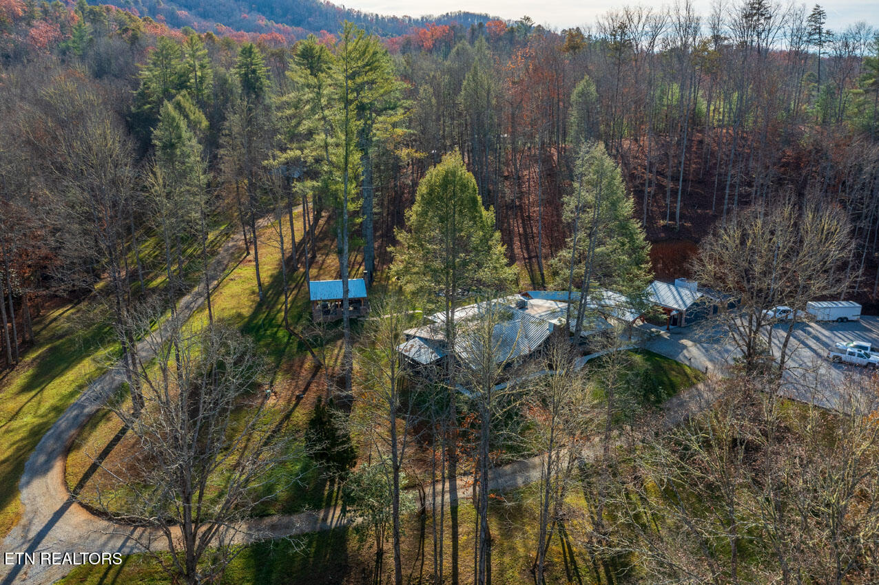 2000 E Millers Cove Road Walland TN 37886