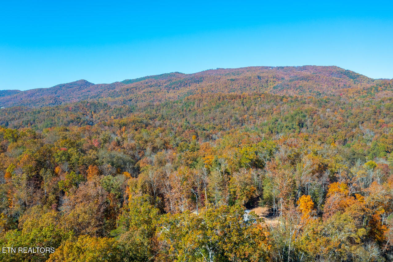 2000 E Millers Cove Road Walland TN 37886