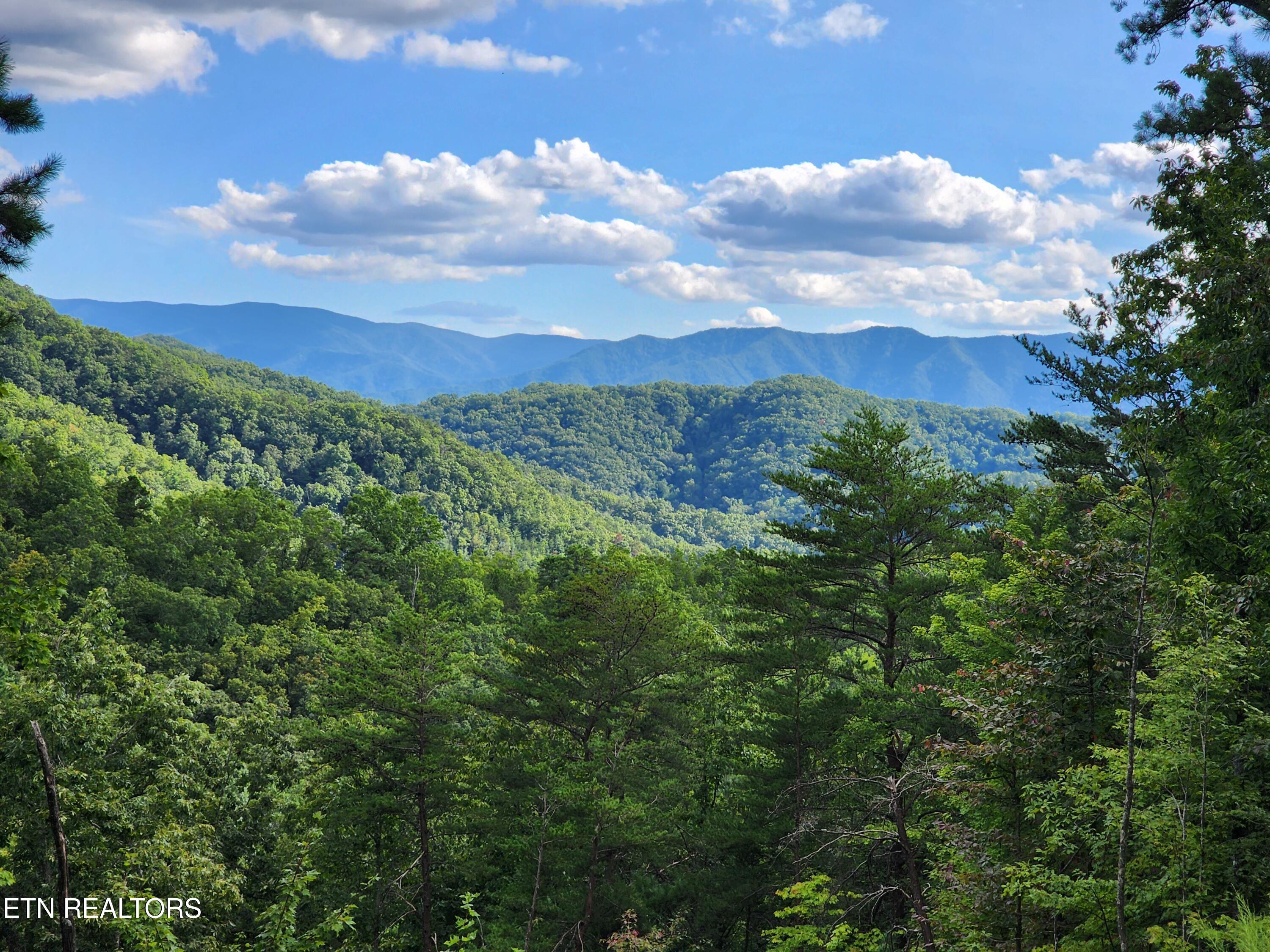 2000 E Millers Cove Road Walland TN 37886