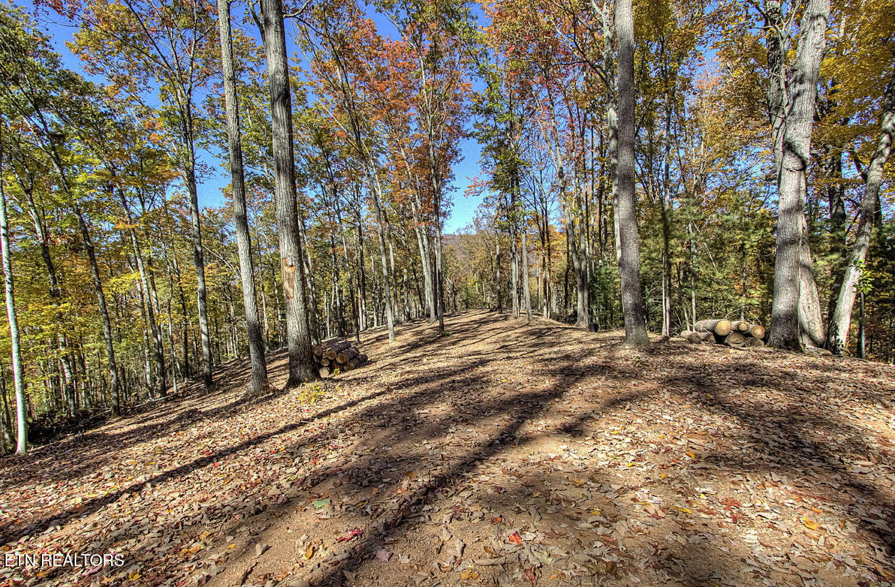 2000 E Millers Cove Road Walland TN 37886
