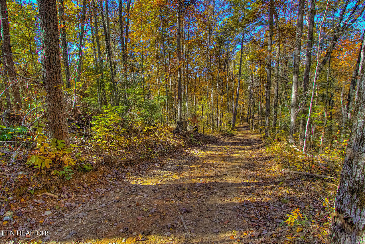 2000 E Millers Cove Road Walland TN 37886