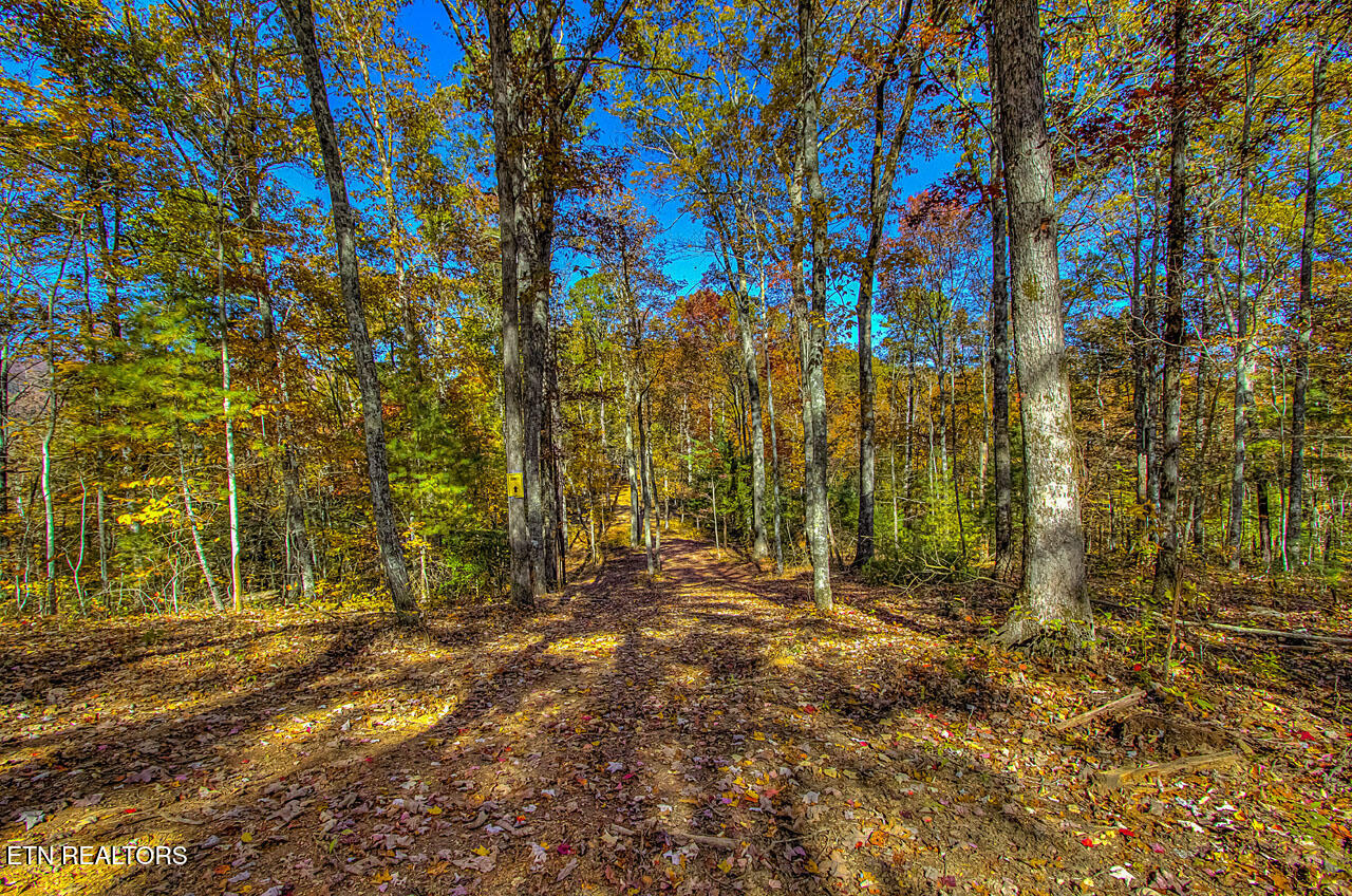 2000 E Millers Cove Road Walland TN 37886