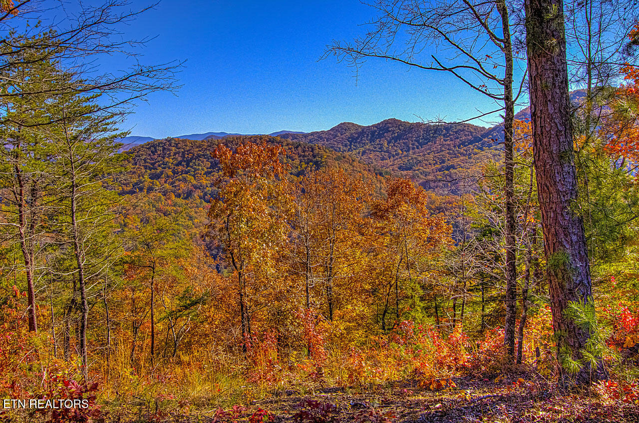 2000 E Millers Cove Road Walland TN 37886