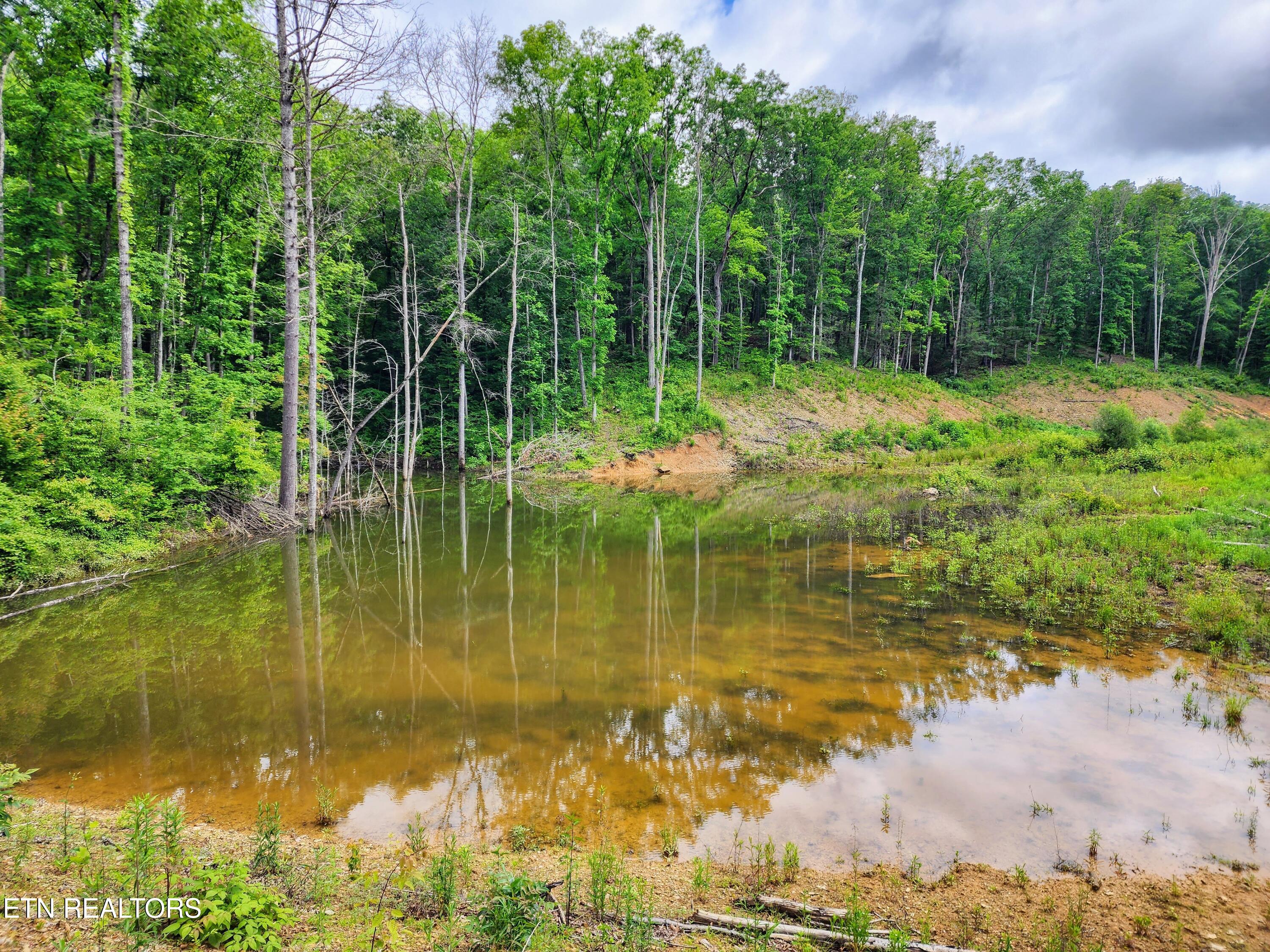 2000 E Millers Cove Road Walland TN 37886