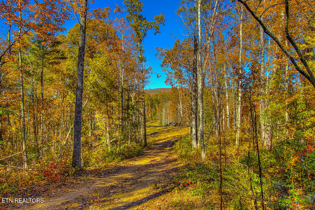 2000 E Millers Cove Road Walland TN 37886