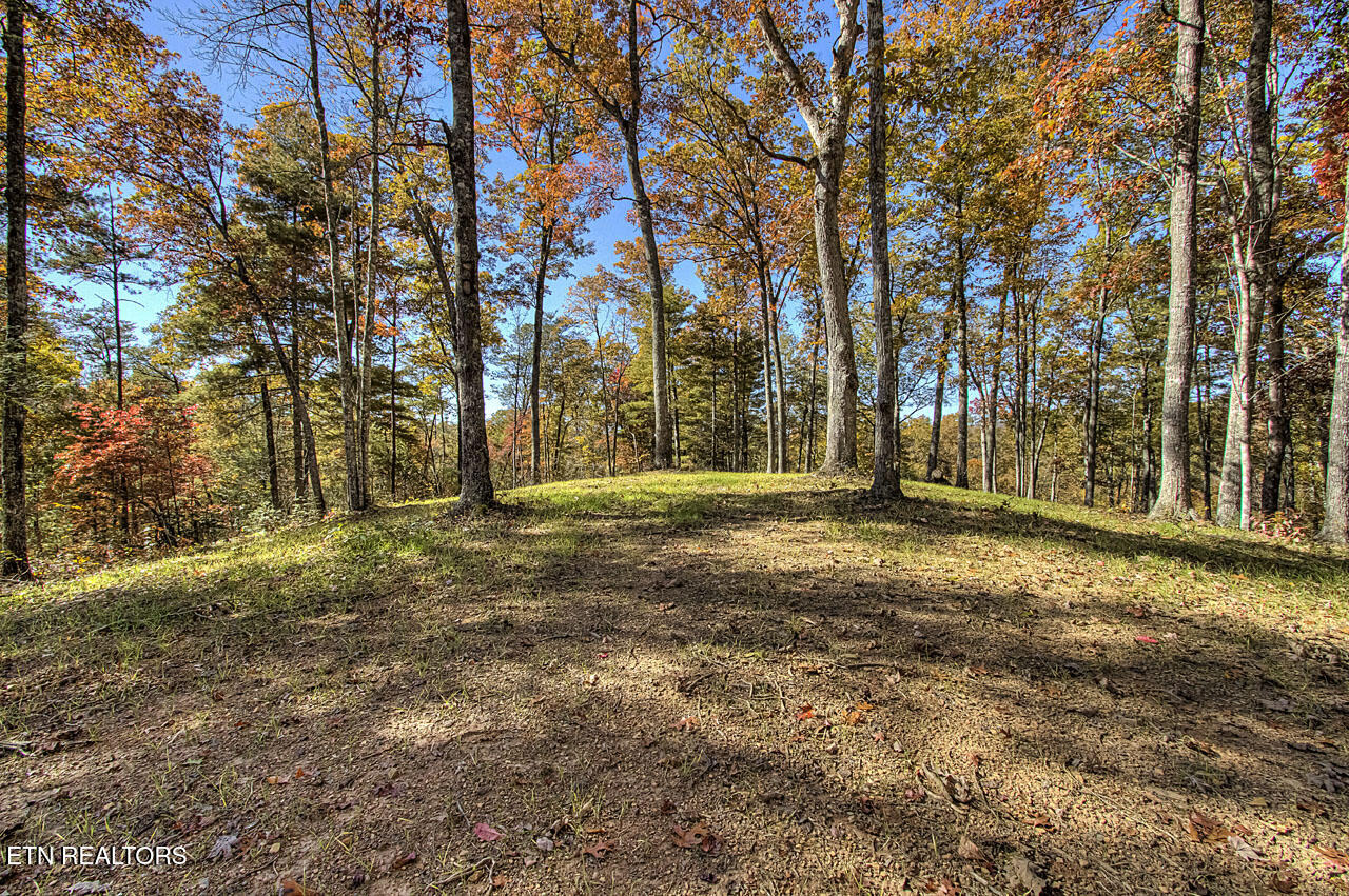 2000 E Millers Cove Road Walland TN 37886