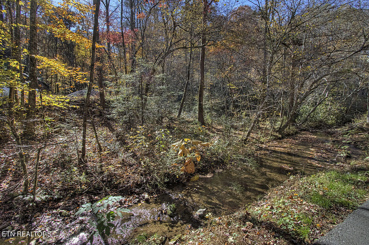 2000 E Millers Cove Road Walland TN 37886